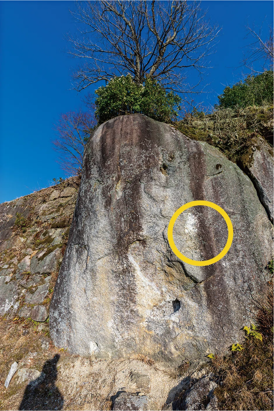 岐阜・中津川】巨岩に立つ古い山城でペグマタイトに出合う｜［特集