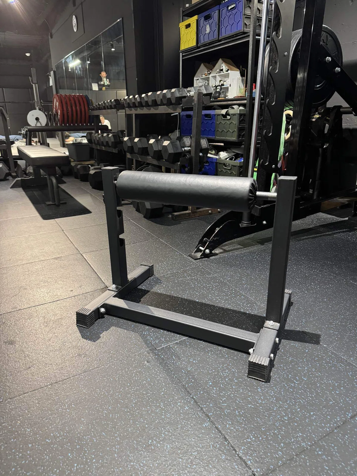 [Complete Edition] Everything About the Bulgarian Split Squat: From ...