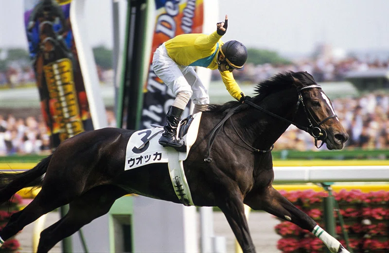 【競馬】ウォッカ メモリアル盾 年度代表馬&最優秀4歳以上牝馬 Vodka About Vodka｜馬好きおじさん