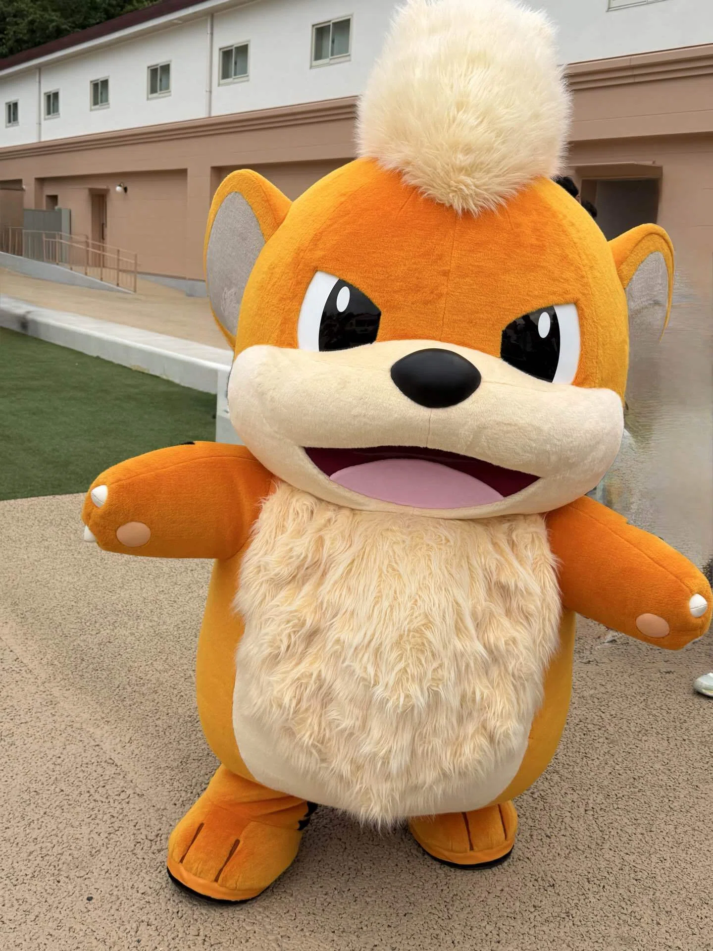 ポケパークカントーに行ったよメモ｜しもの田