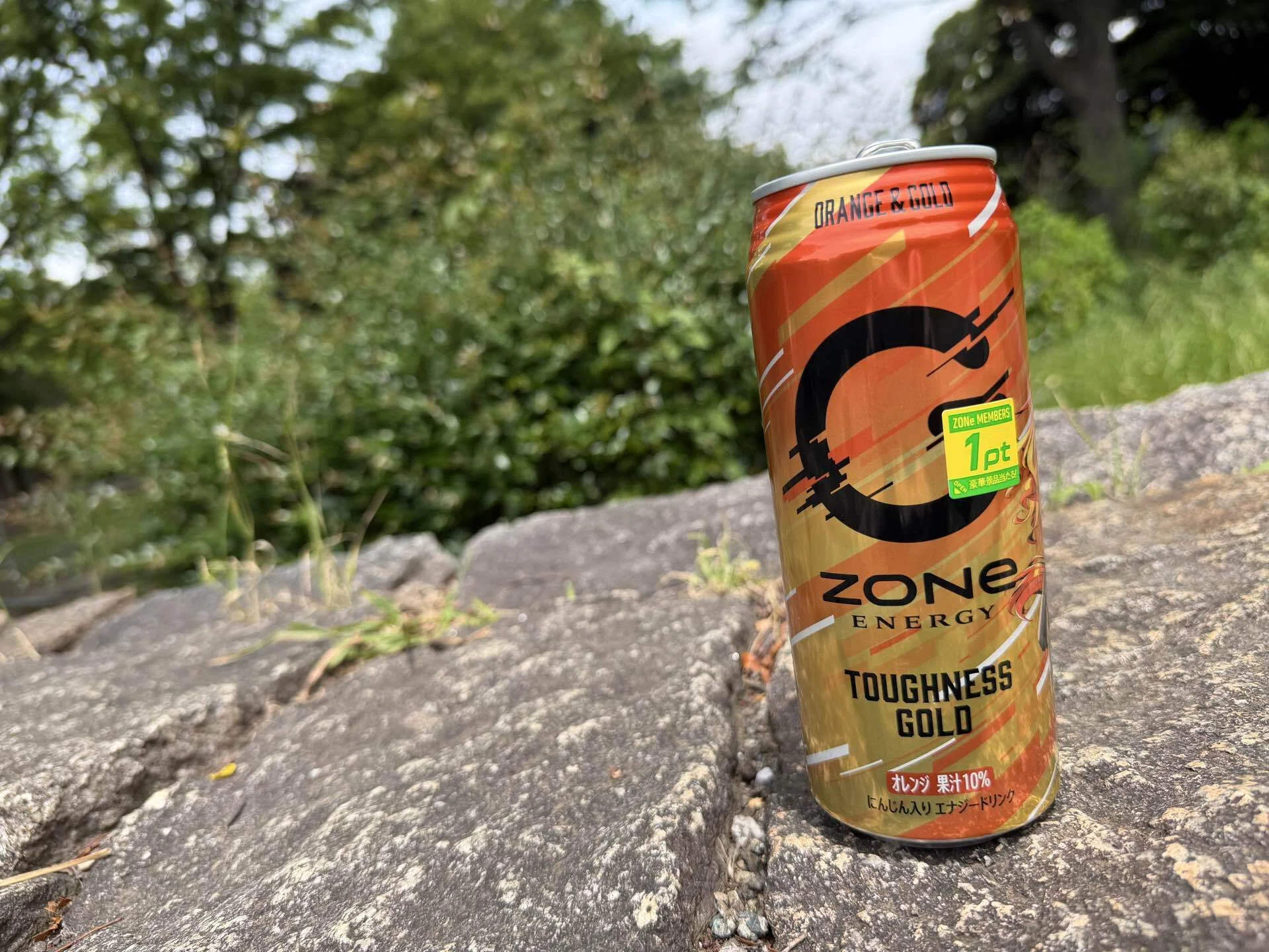 EPONA ゴールド8個ジャム Honest Review] I Tried ZONE Toughness Gold｜fast_seal