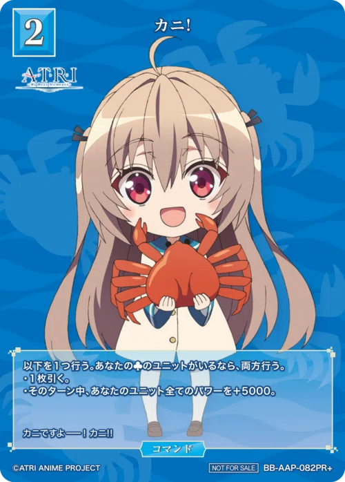 ビルディバイドブライト九光戦（きゅうこうせん）非公式フォーマットの