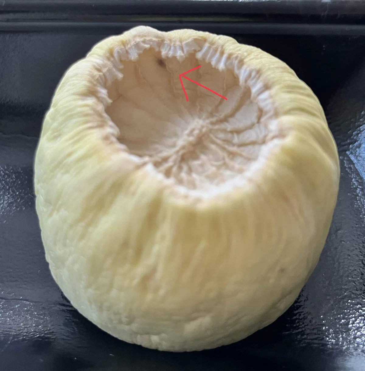 ç»å