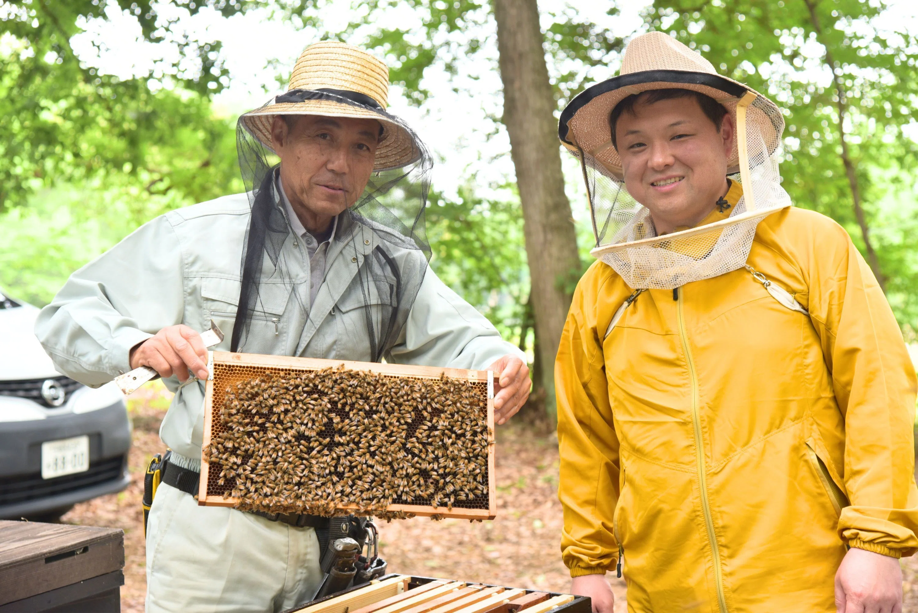 みつばちページ いちご王国・栃木」を支える立役者・ミツバチ。ハチミツだけじゃない