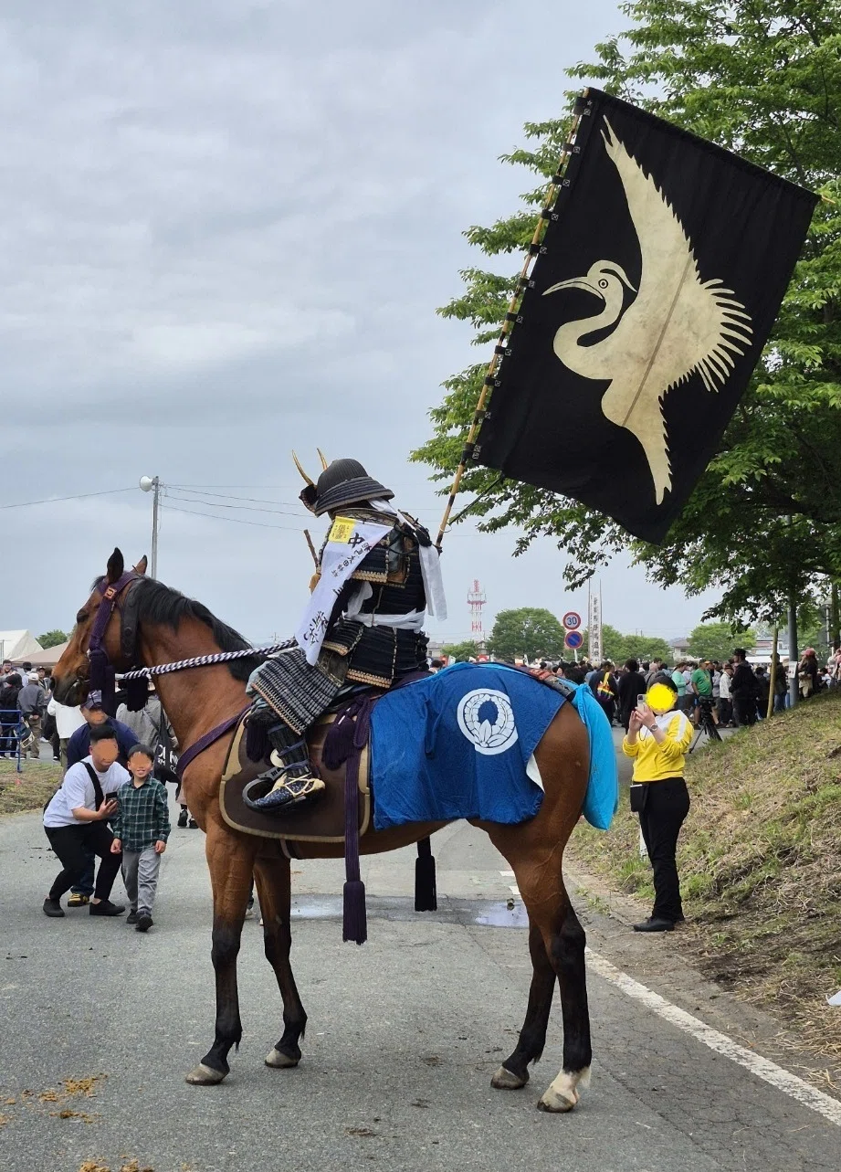 騎馬戦 馬鎧和風 馬鎧 の写真・イラスト素材