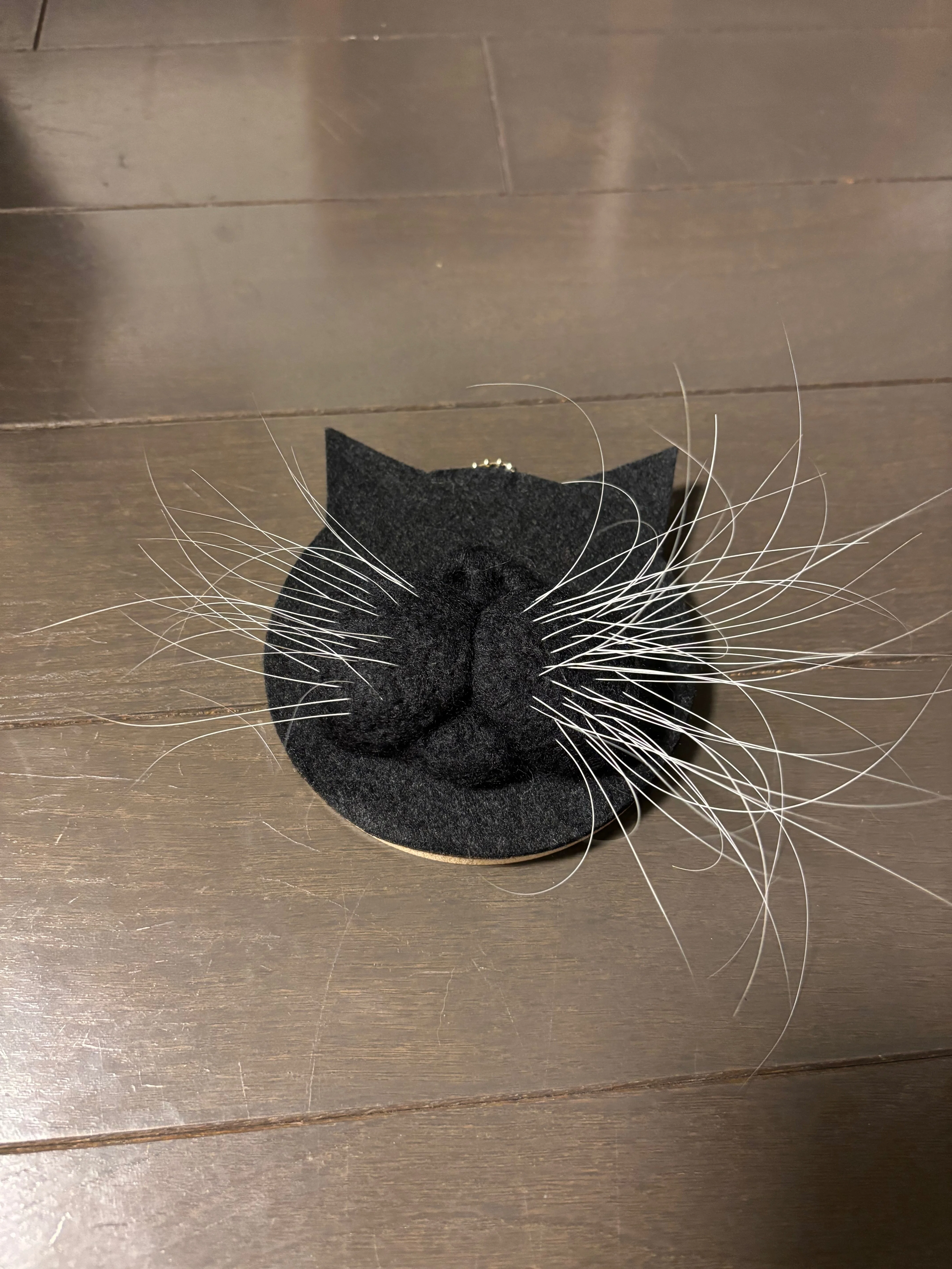 お待たせいたしました（待ってないかな）猫のおヒゲ差し、近況ご報告