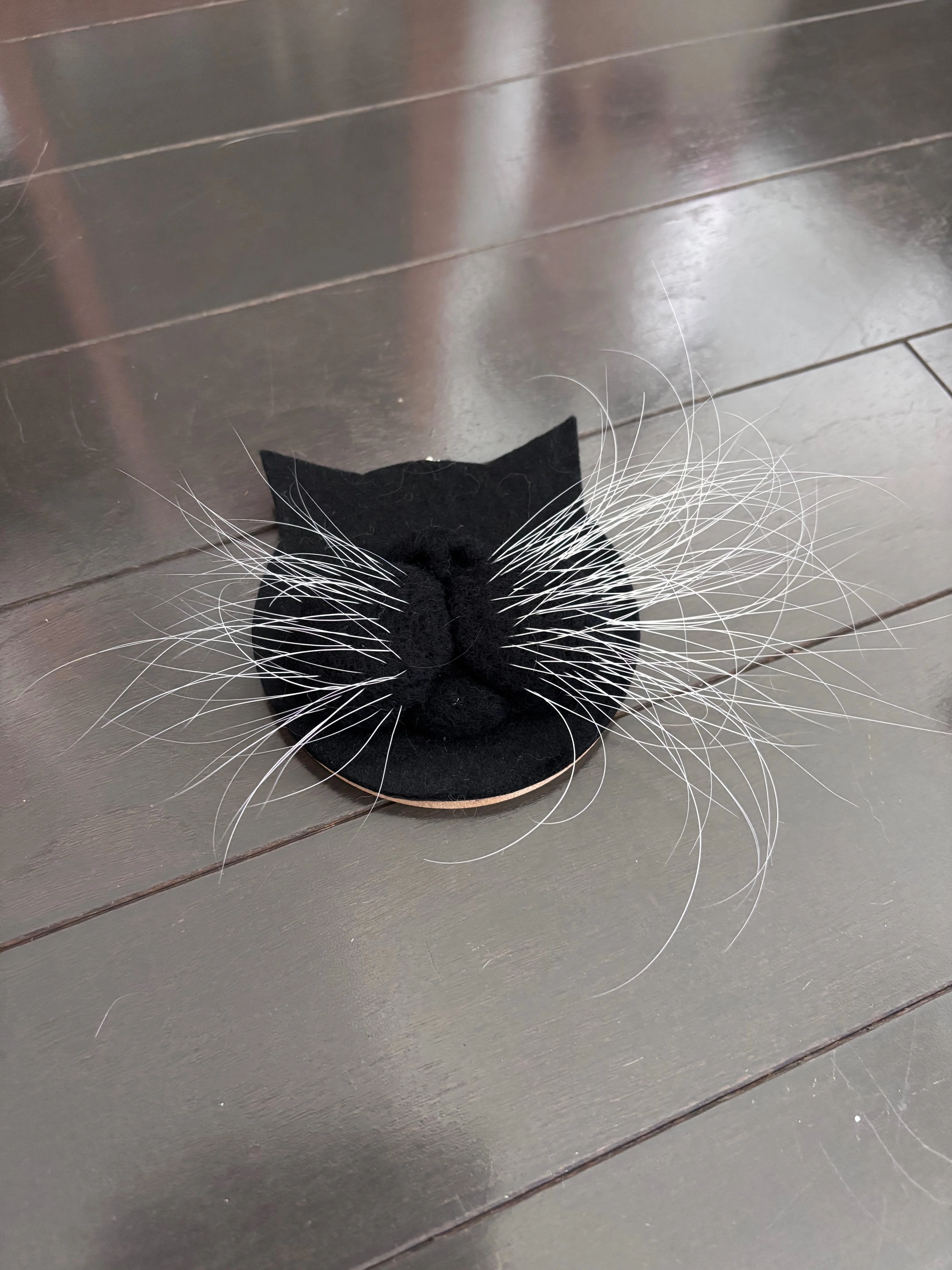 尾張ヒゲ様ご確認用 お待たせいたしました（待ってないかな）猫のおヒゲ差し、近況ご報告