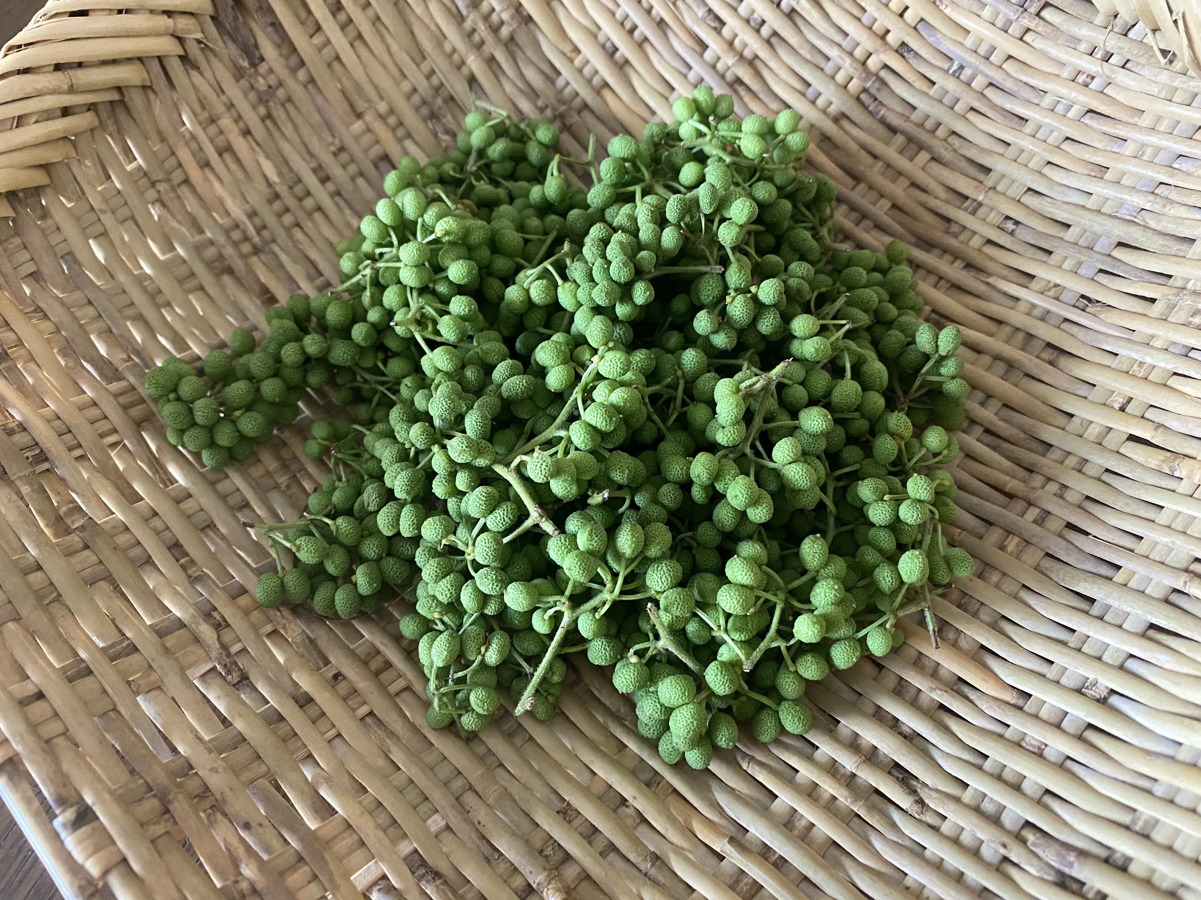旬の