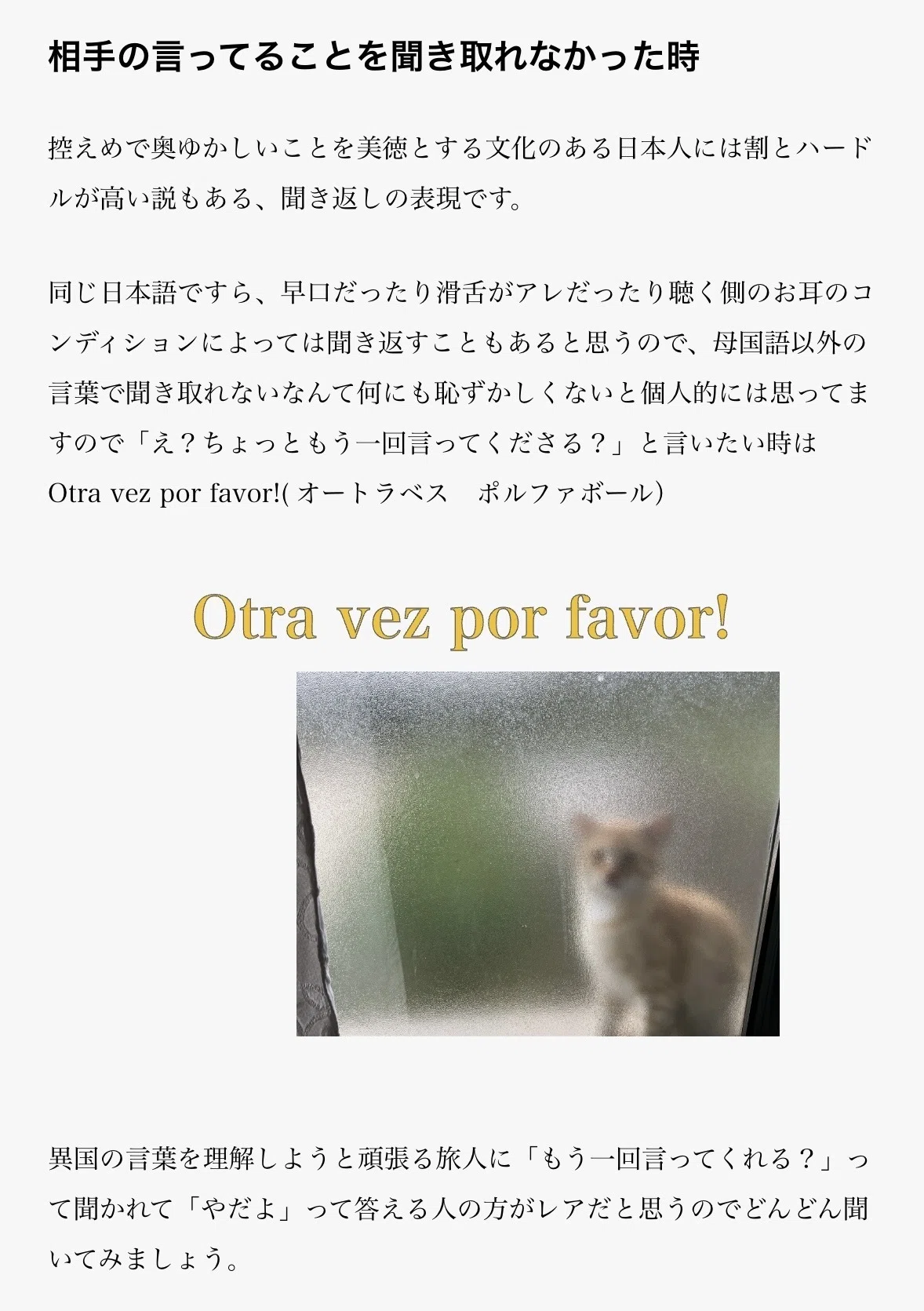 カミーノ🇪🇸で役立つスペイン語の本（日本一カジュアルなやつ）｜散歩