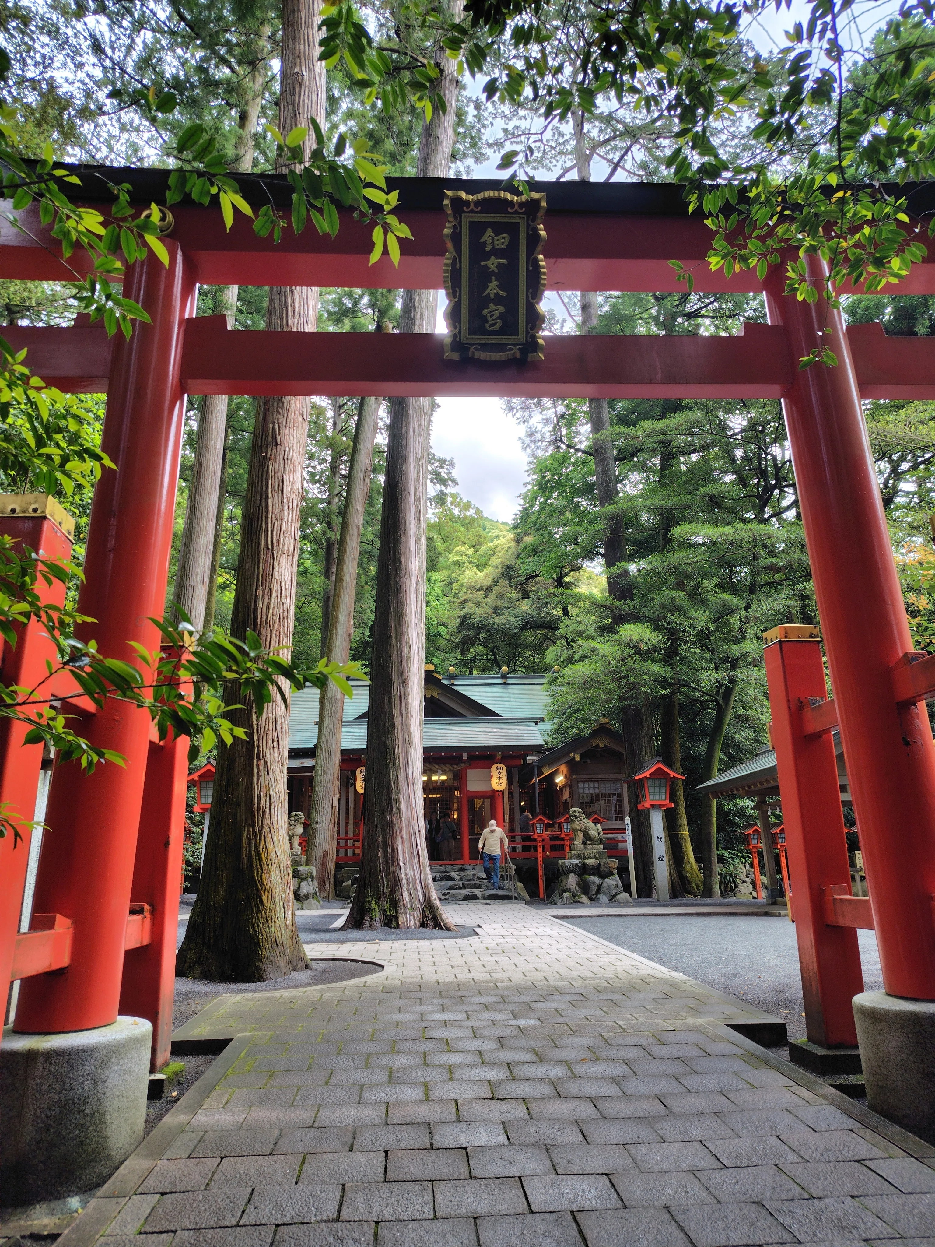 椿大神社さんへ②｜やまと あすか
