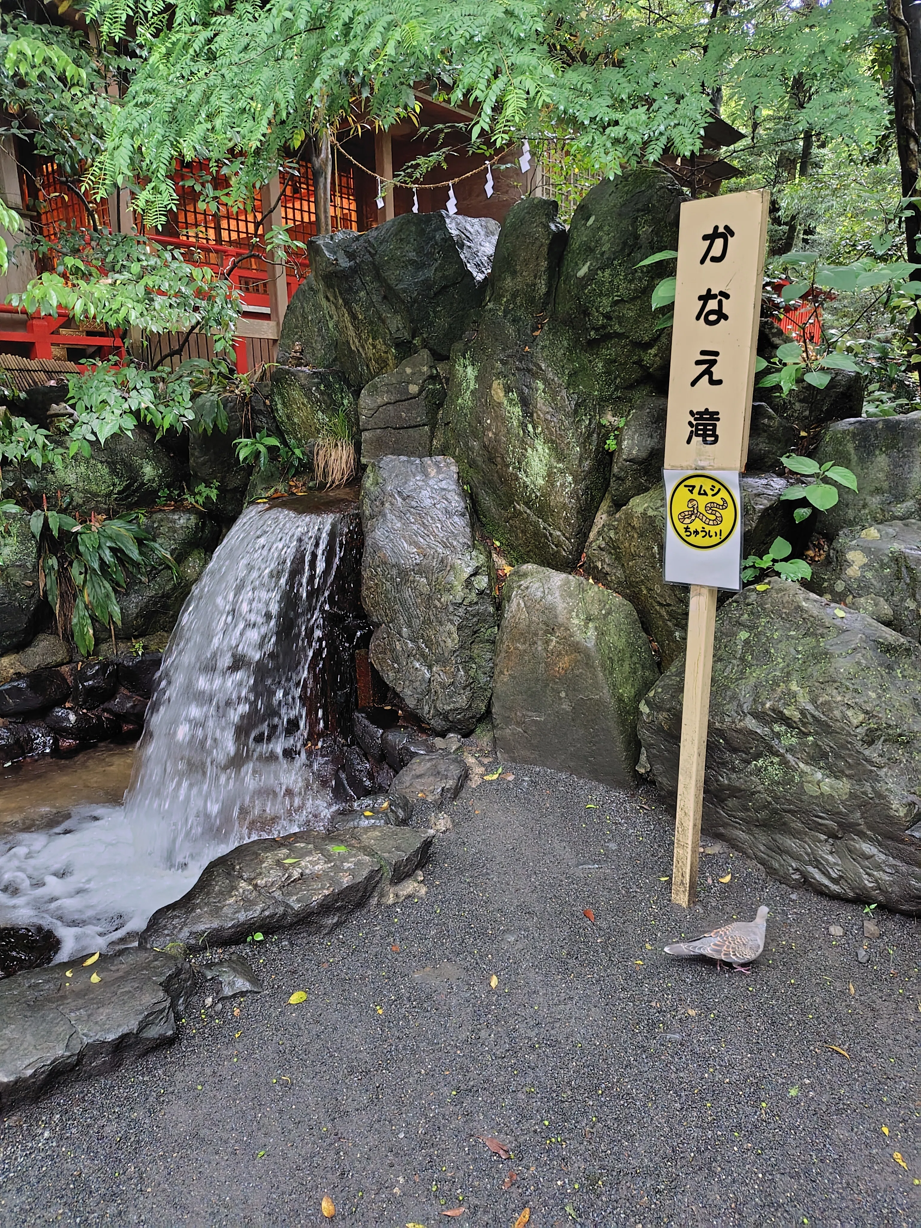 椿大神社さんへ②｜やまと あすか