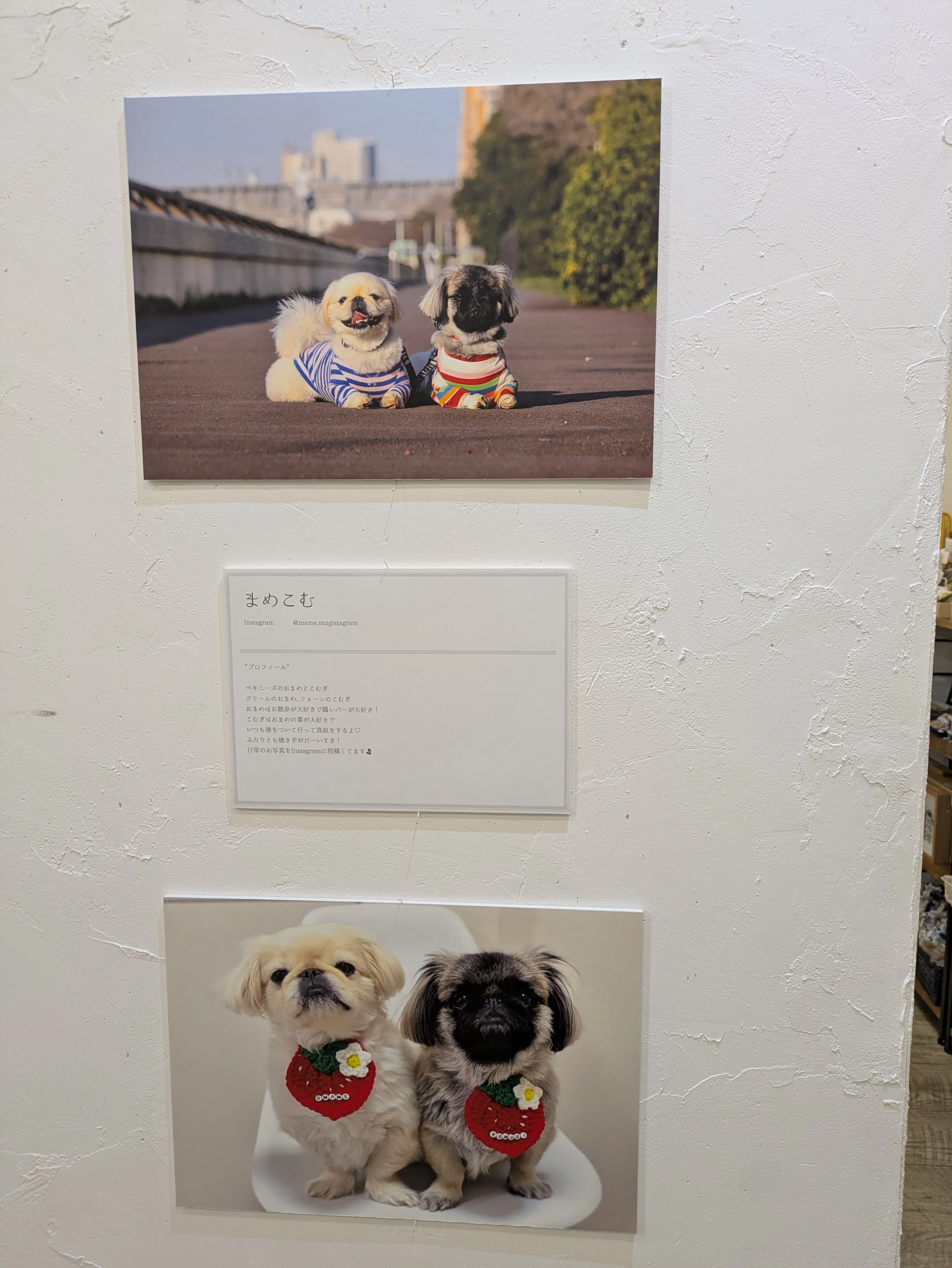 104】「鼻ぺちゃ展2026」で犬への愛♡が爆発！｜Art memo ｜Office SUI