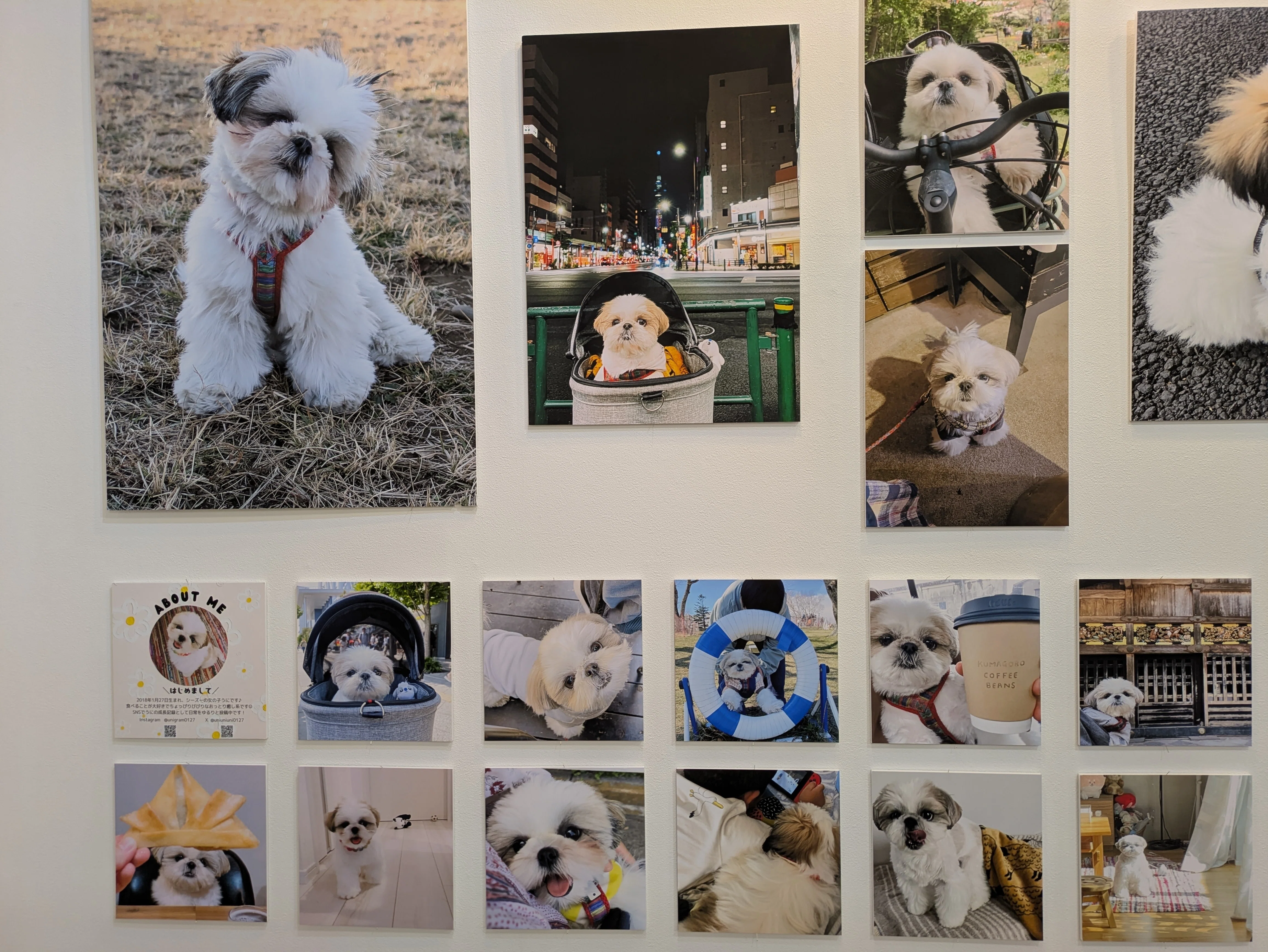 104】「鼻ぺちゃ展2026」で犬への愛♡が爆発！｜Art memo ｜Office SUI