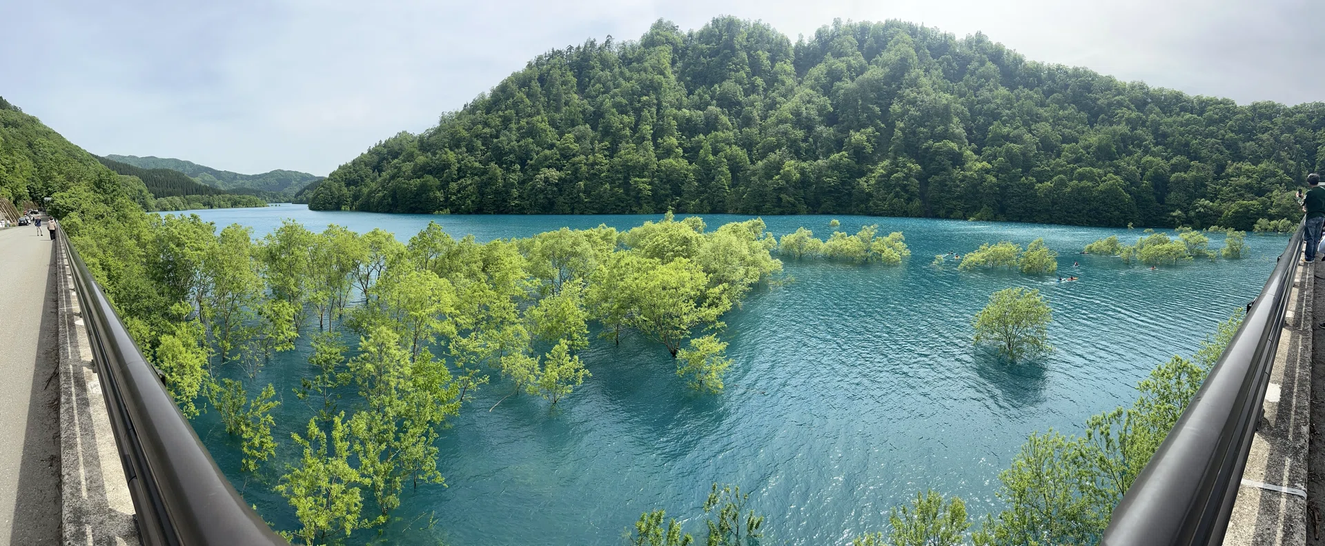 秋田探訪紀行 秋扇湖水没林〜新玉川温泉｜Ikki HORIGUCHI