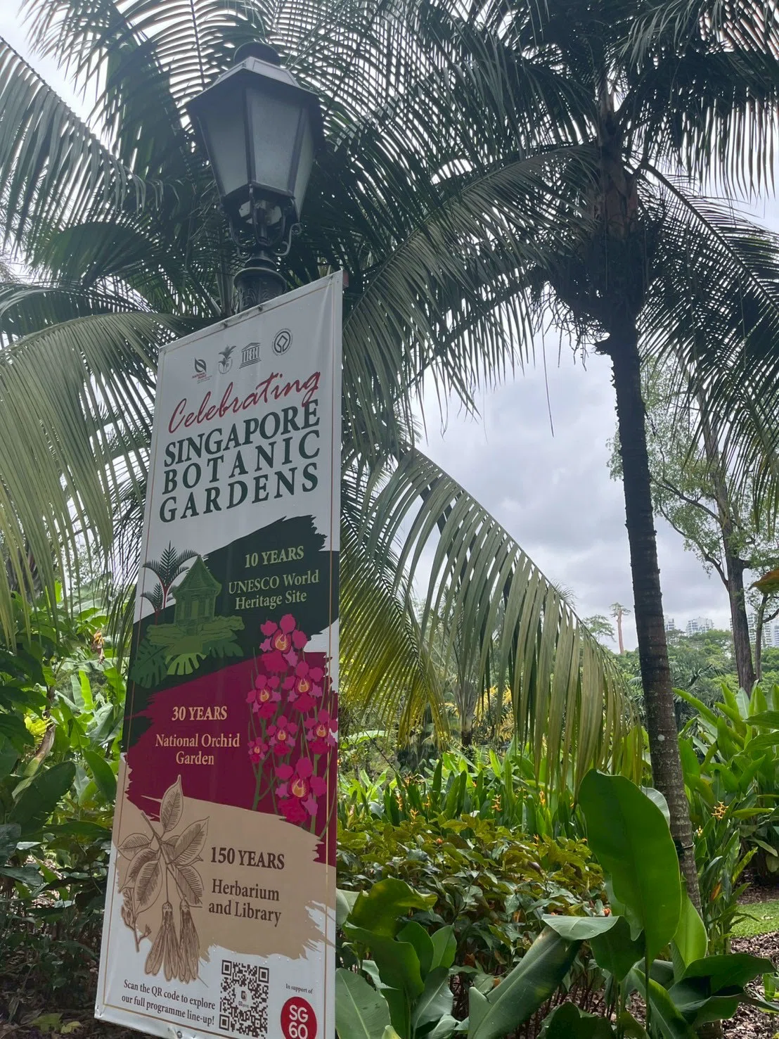🇸🇬シンガポール 家族旅行Day4〜世界遺産の植物園からのラッフルズ