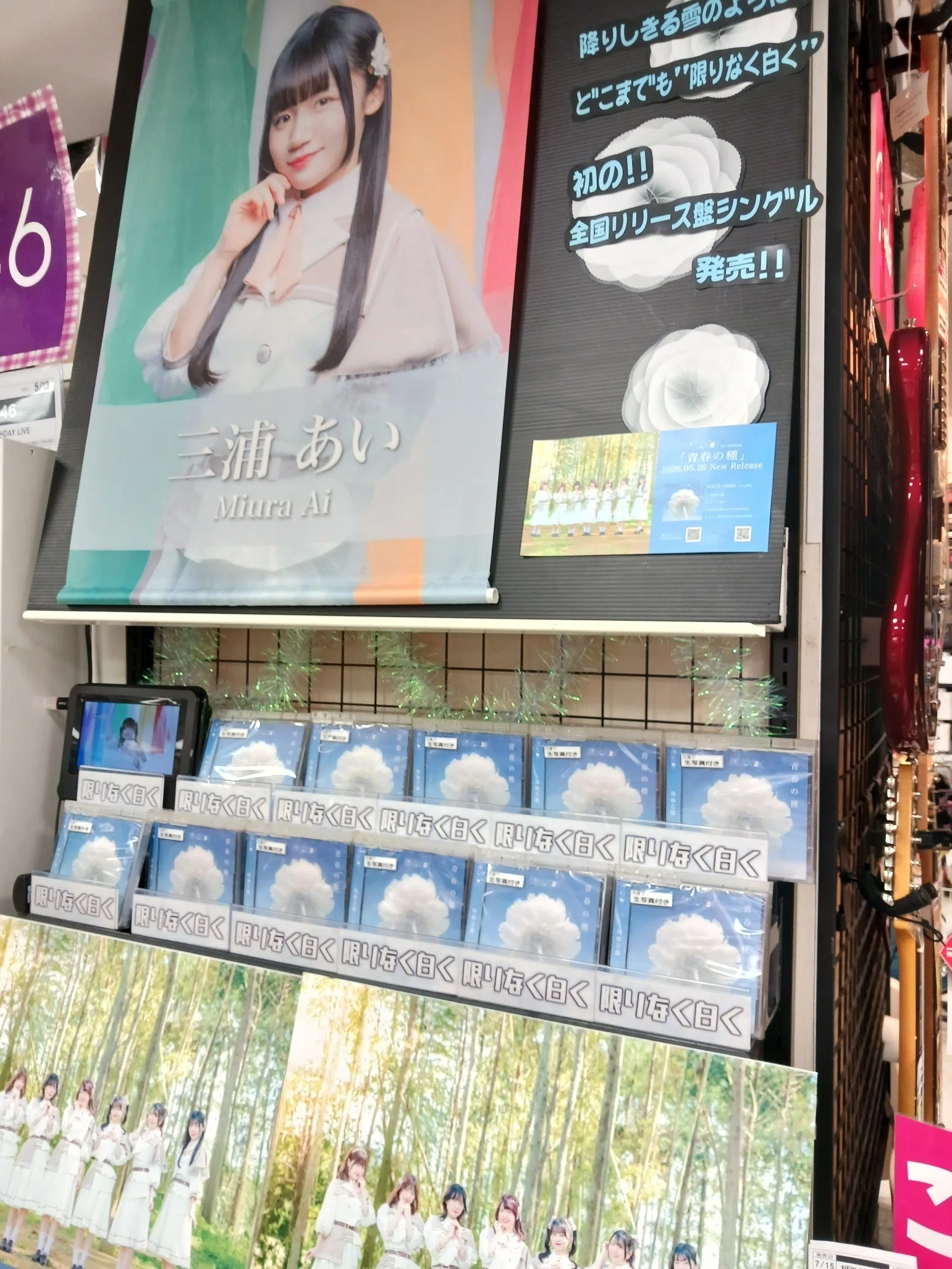 限りなく白 青春の種 CD 邦楽 限りなく白 青春の種 CD 邦楽 限りなく白