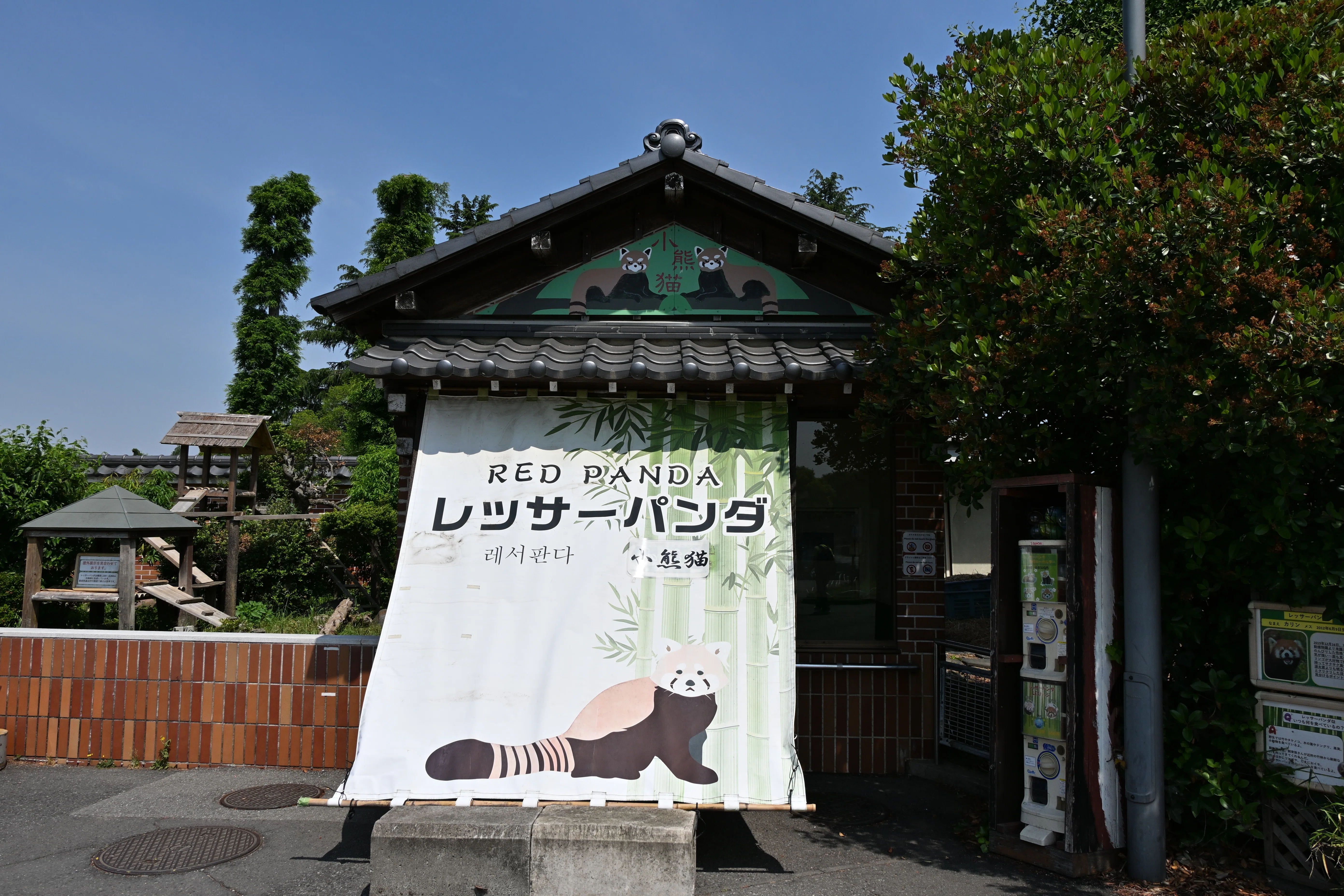 20260520_東武動物公園【Nikon Z50IIと動物園】｜山ネズミ