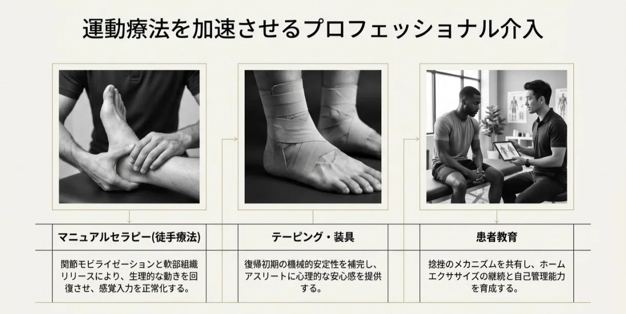 保存版】足関節捻挫：予防と再発防止の最新戦略｜Kenji Miyamoto