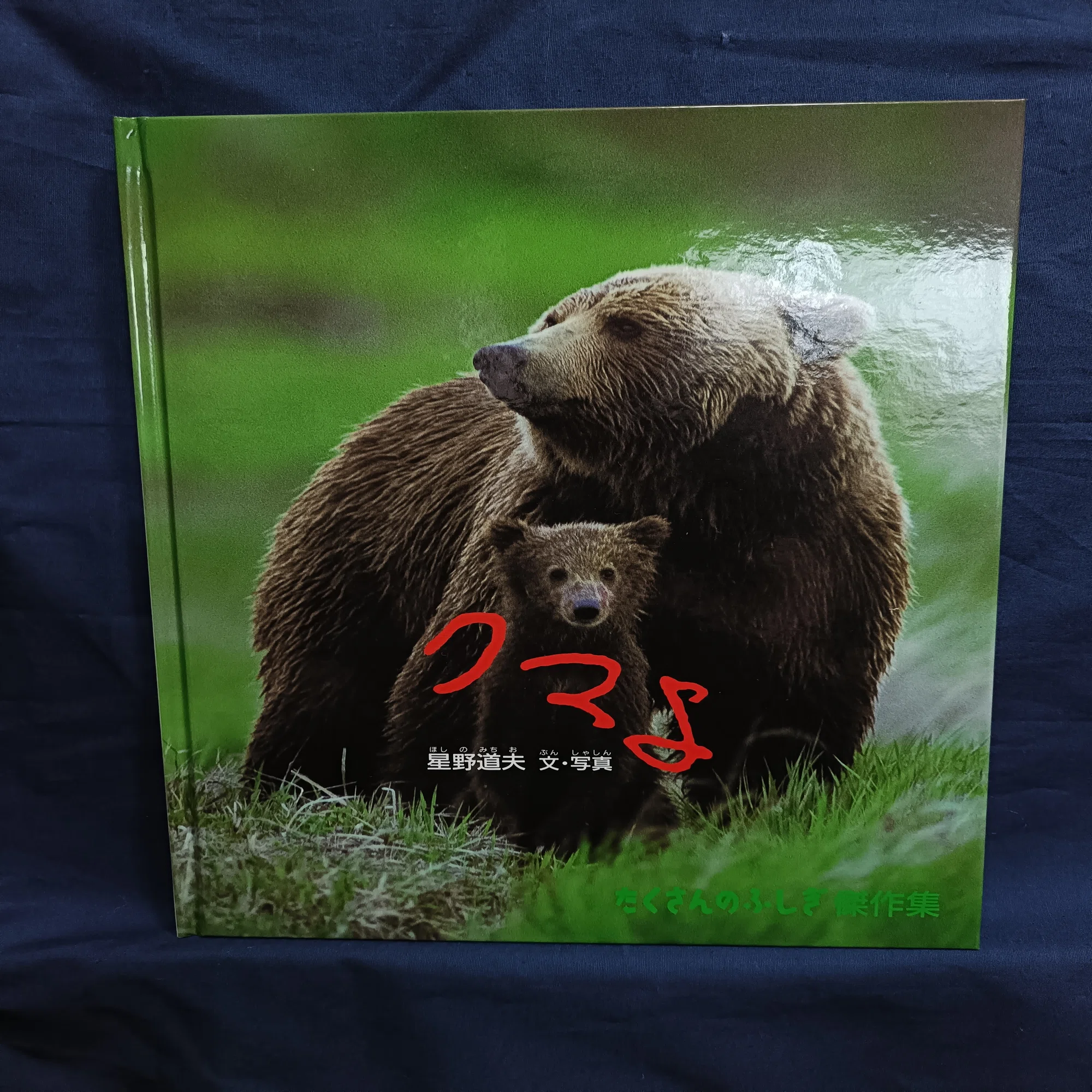 星野道夫 クマよ｜むろ書房（murobooks）