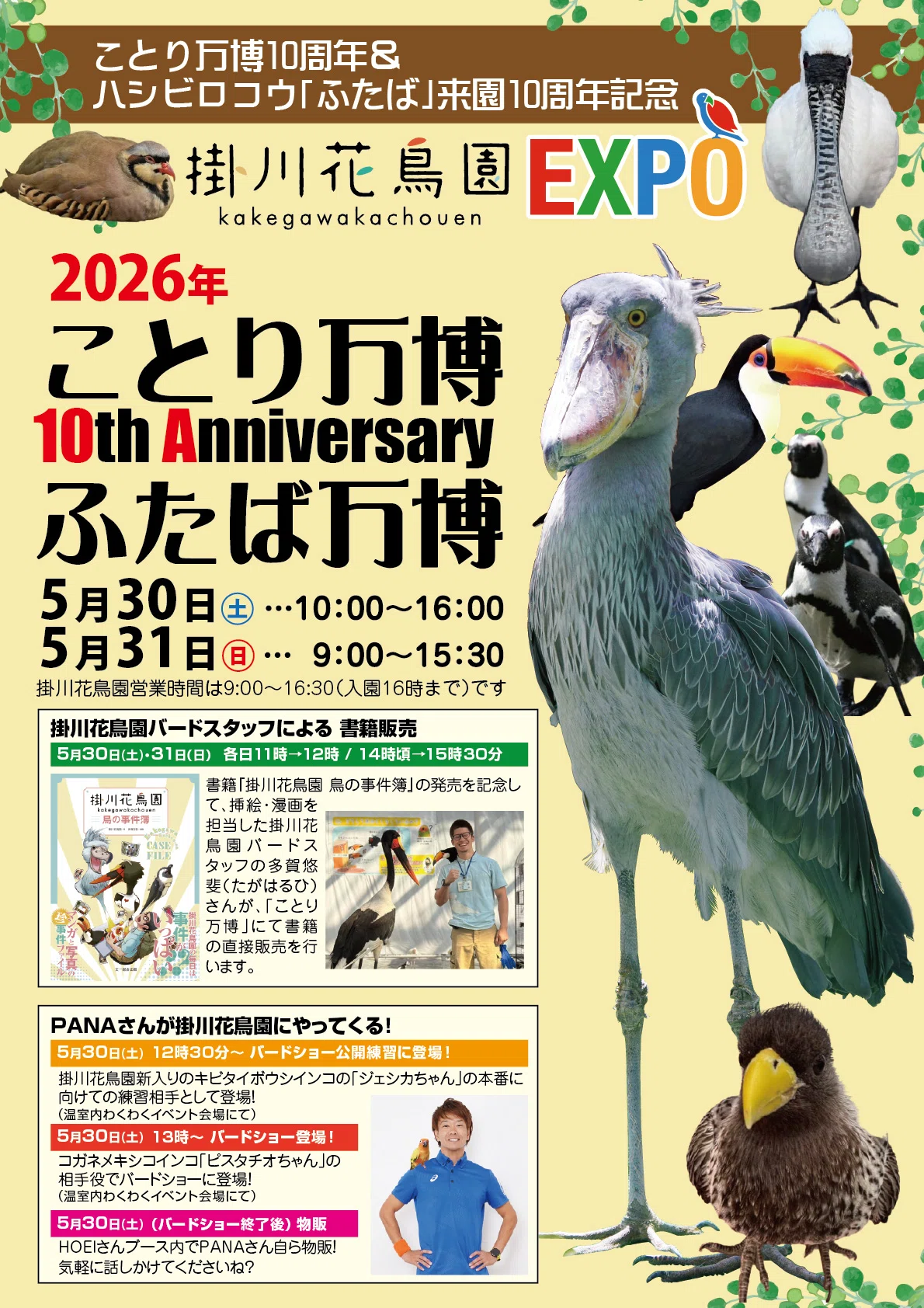 すけ】ことりのあそびば Bタイプ すけ】ことりのあそびば Bタイプ