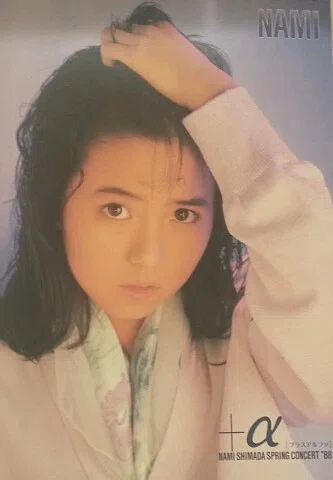 再掲】1980年代のコンサートパンフレット(主にアイドル)｜アンマchan