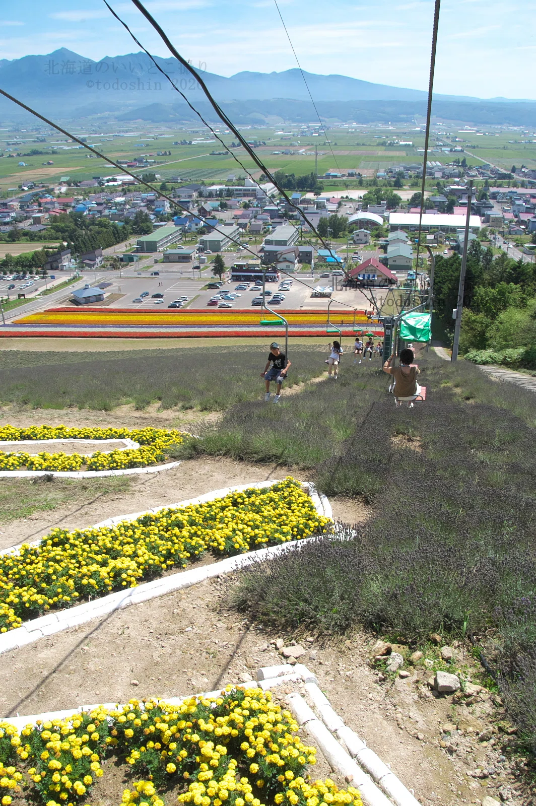 中富良野町営ラベンダー園 2007年8月 2｜todoshin