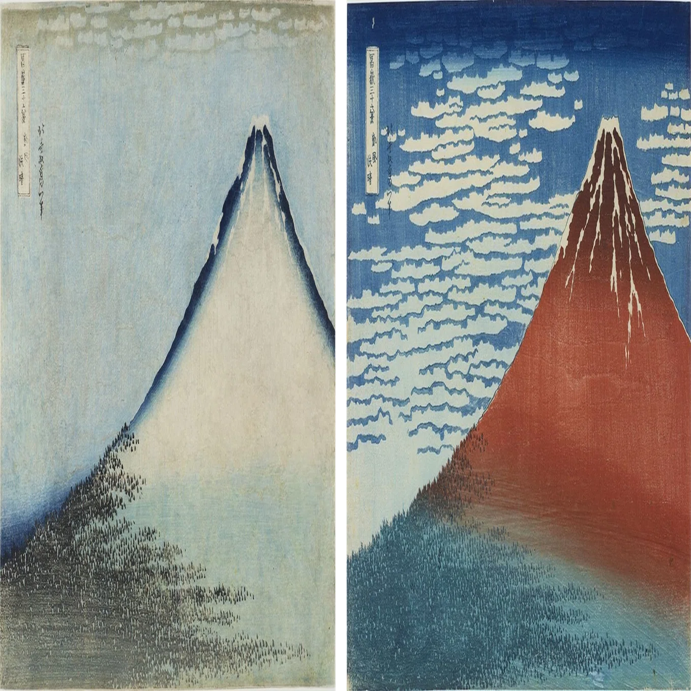 Exhibits from the 