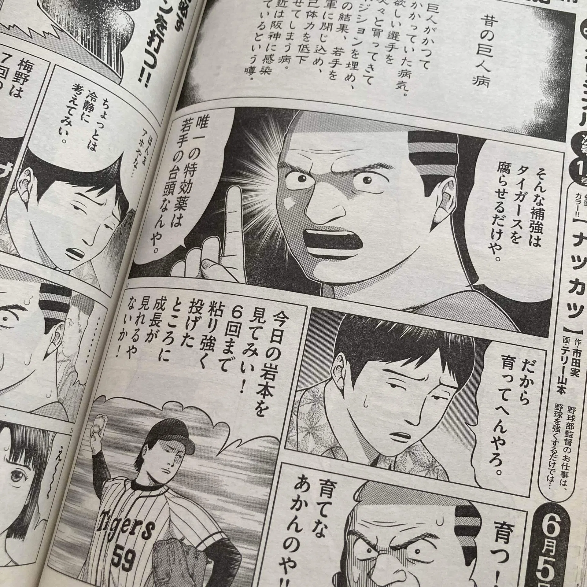 阪神タイガースファンの漫画家たち｜ロムド書店の書架