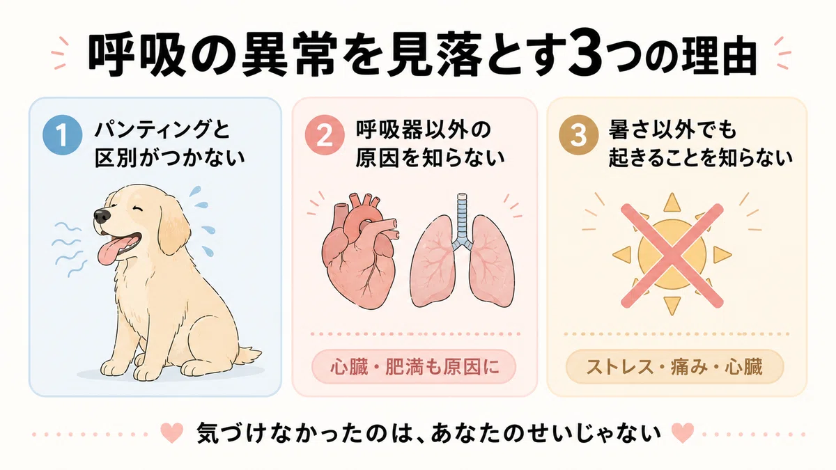犬猫の呼吸がおかしい日、様子見していい時なんてない｜VTもげおくん