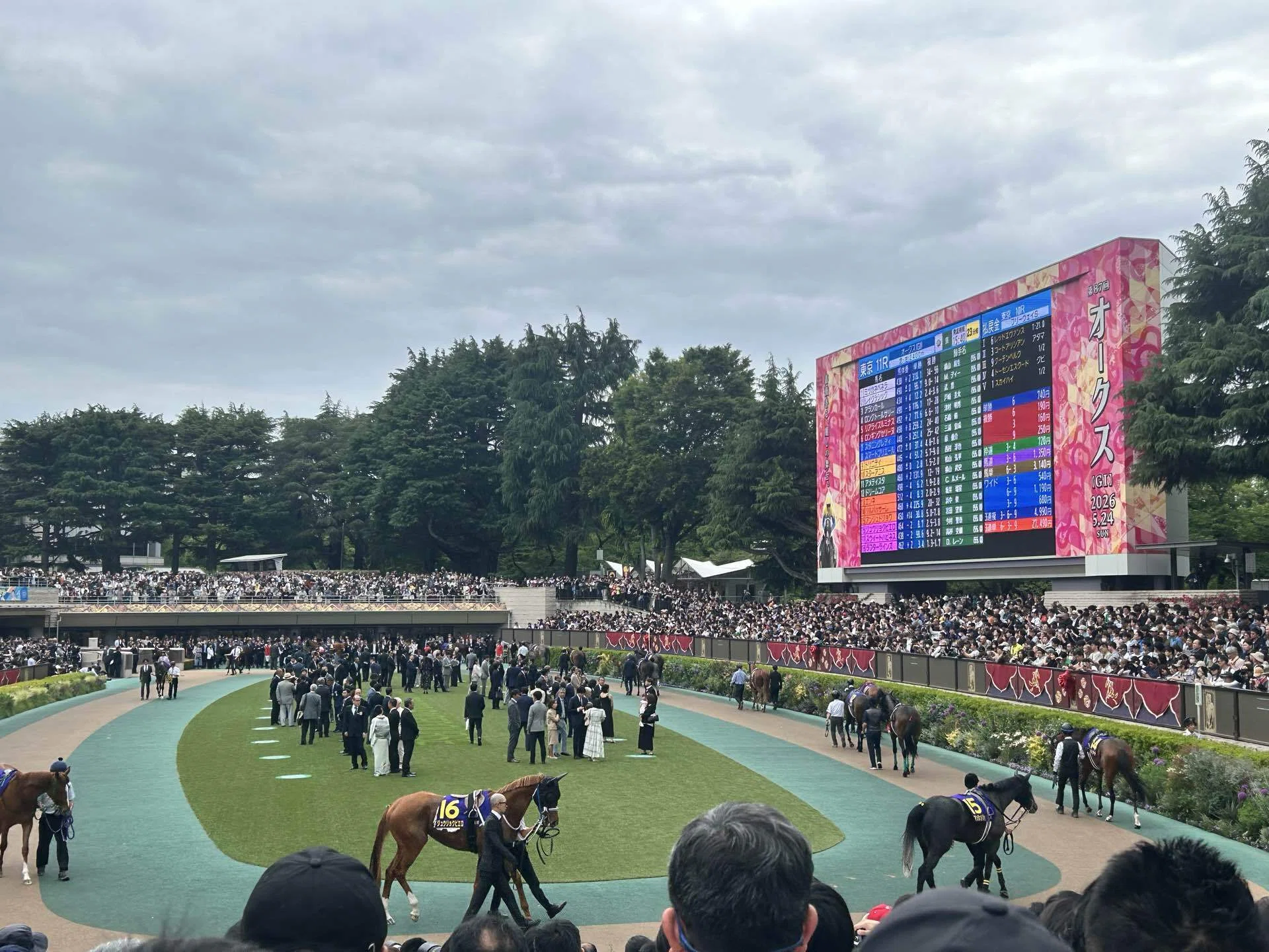 30km走って辿り着いたオルフェーヴルの夢の続き〜ジュウリョクピエロと