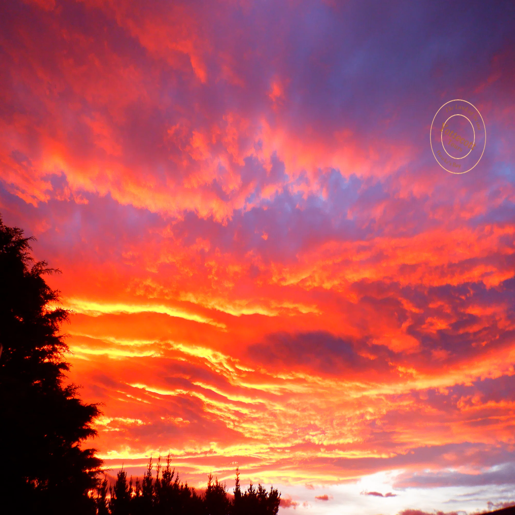 wn　夕日紅 写真1枚で語る ニュージーランド 14】～ 真っ赤に染まる NZの夕焼け空