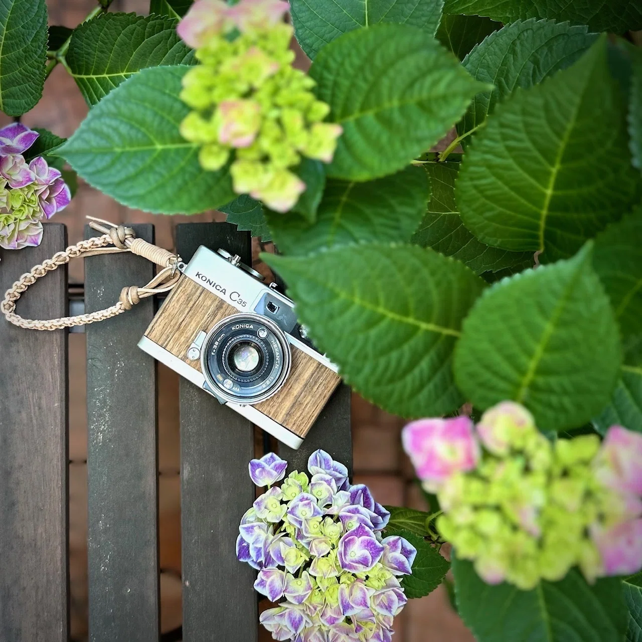 木を纏った KONICA C35｜mi-na camera