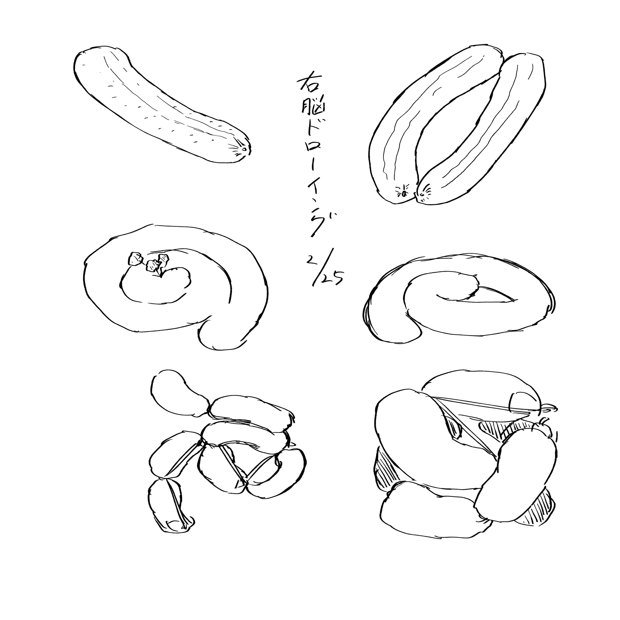 絵の練習【5月5週目】｜29