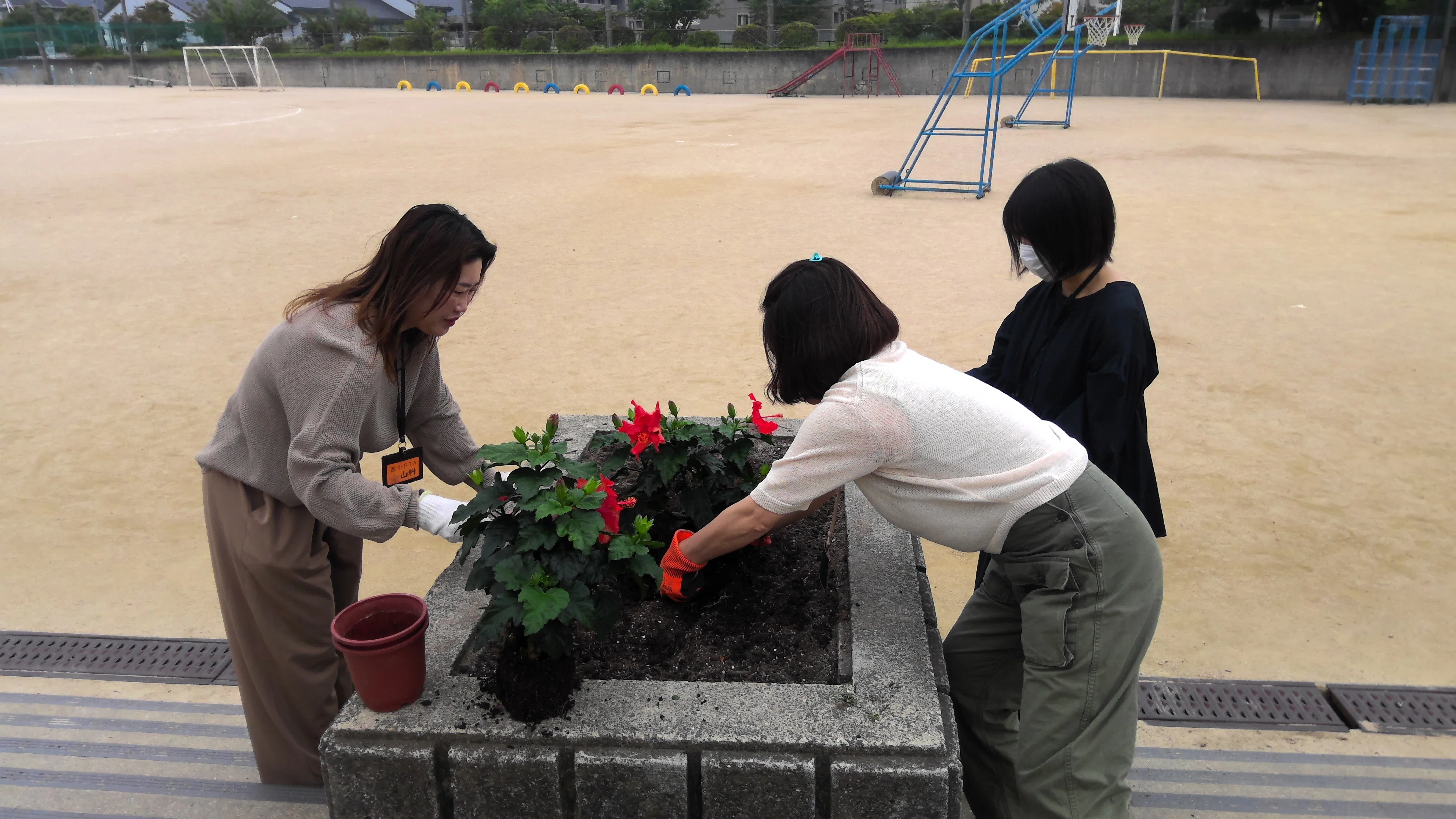 花の植え替え｜箕面市立西小学校