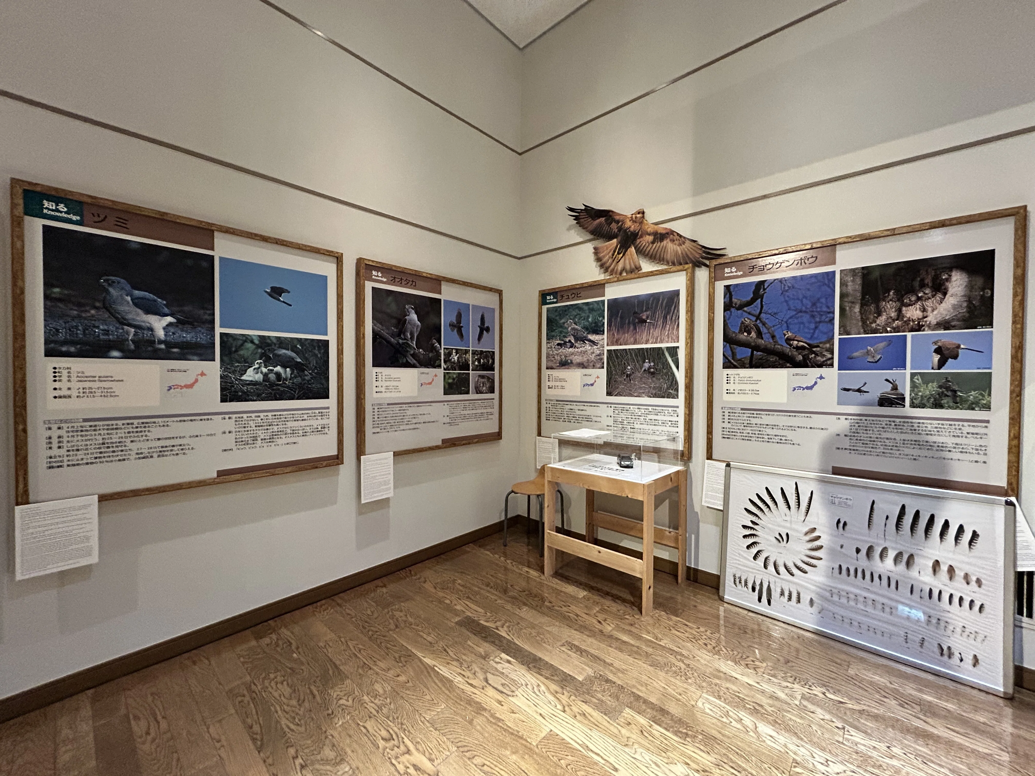隠れた名館⑪】酒田(山形県)・鳥海イヌワシみらい館ってどんな場所