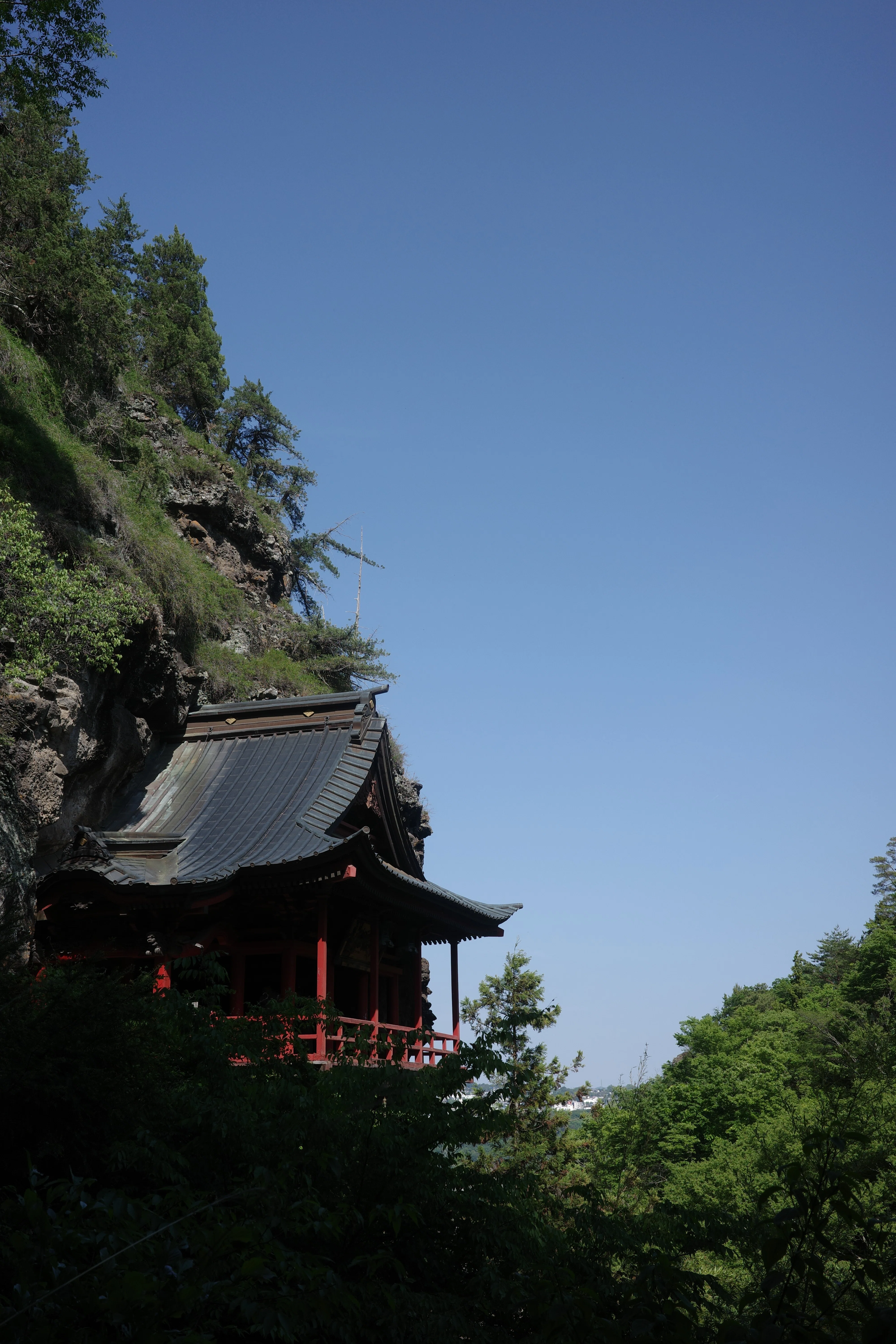 第46話｜2週間で3つのお寺へ。牛に引っ張られながら、禅にたどり着いた