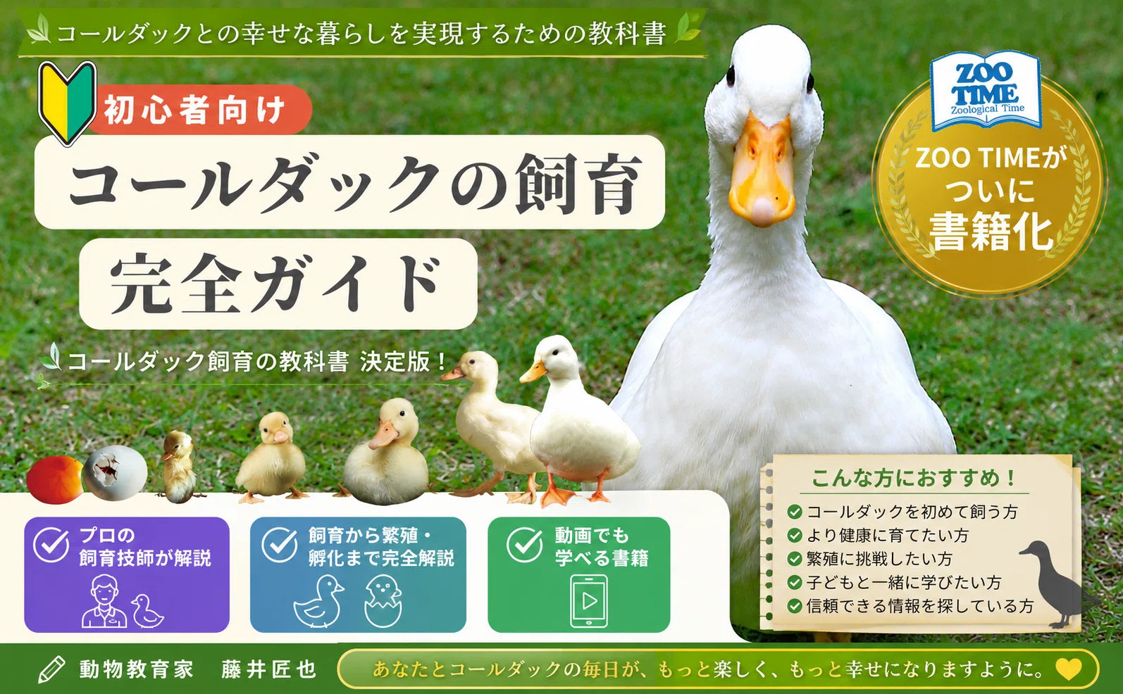 コールダックの飼い方、孵化方法、アヒル飼育、産卵、同居方法、飼育