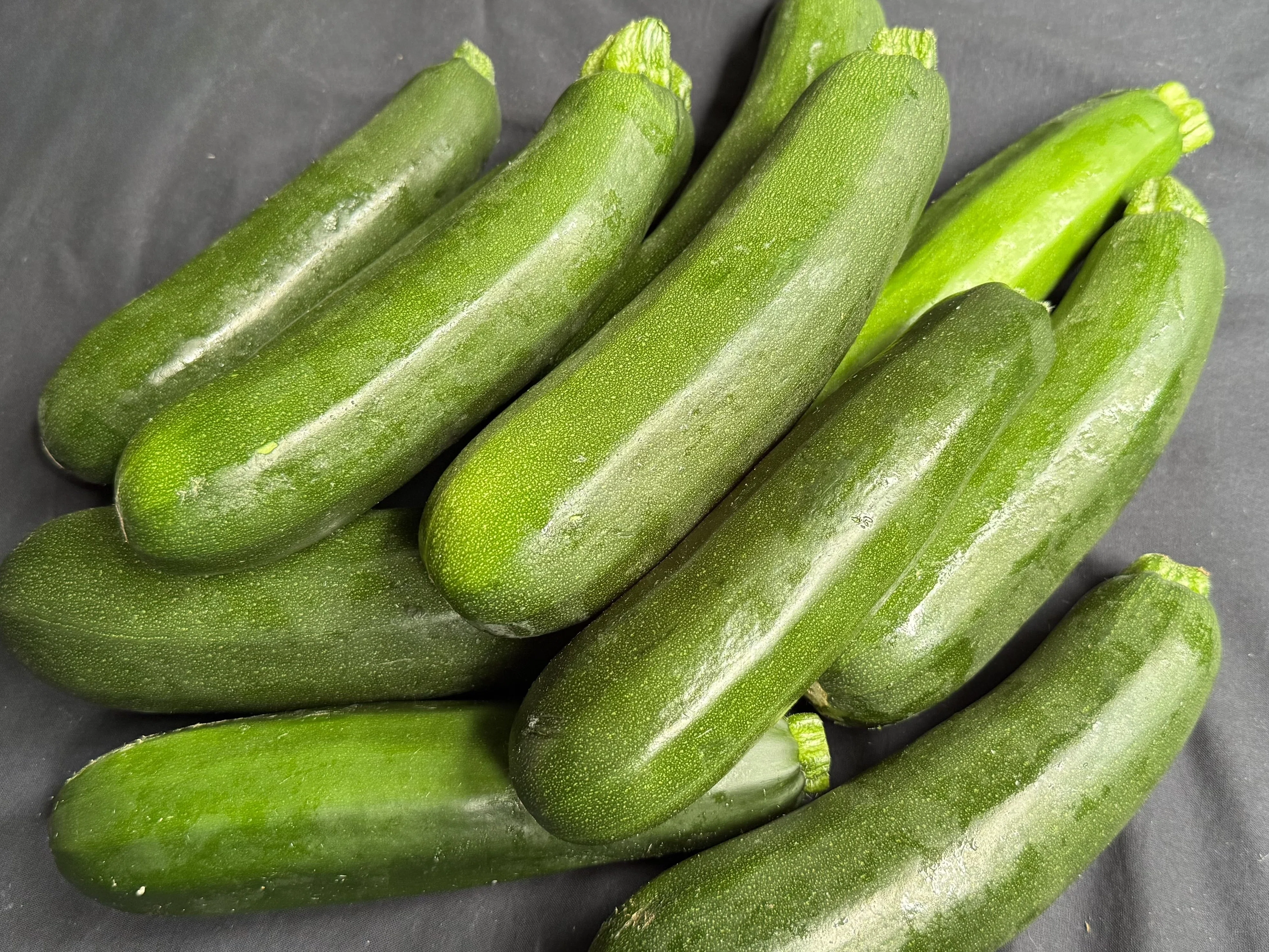 槇村野菜図鑑06 ズッキーニって脇役じゃないんです。焼くだけで甘い 槇村野菜図鑑06 ズッキーニって脇役じゃないんです。焼くだけで甘い