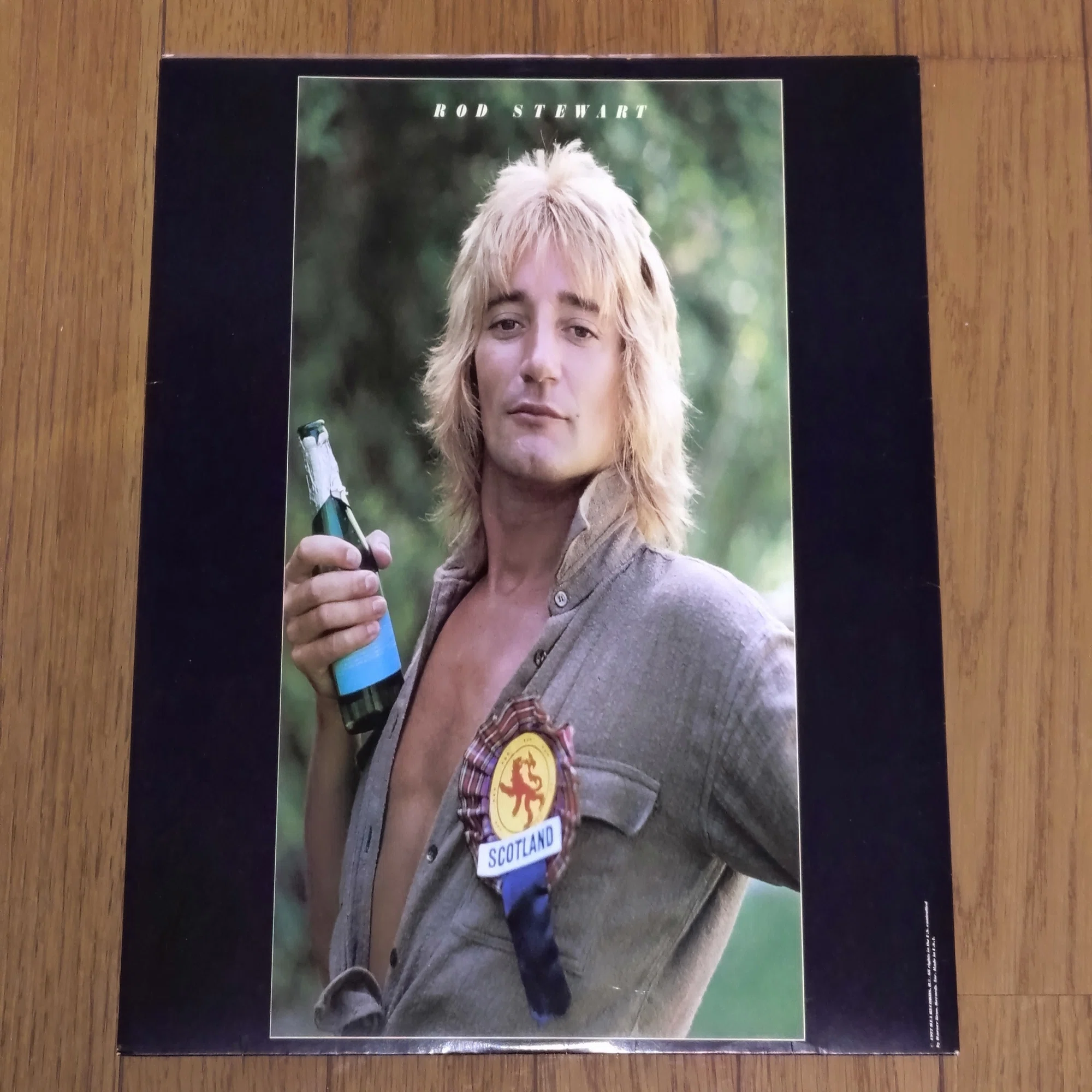 Foot Loose & Fancy Free】(1977) Rod Stewart: A Grand Strategy for 