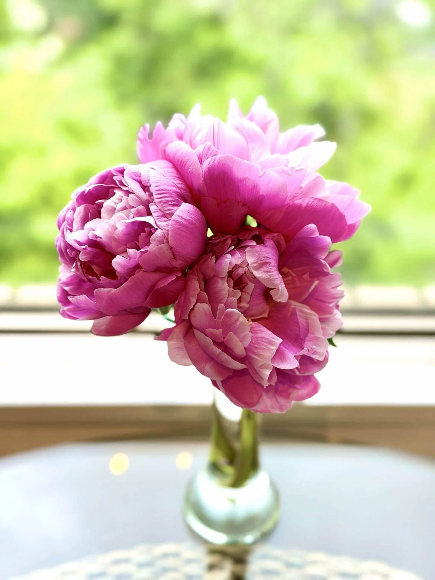 立てば芍薬、座れば牡丹…って、本当はみんなが知ってる意味とは違っ 