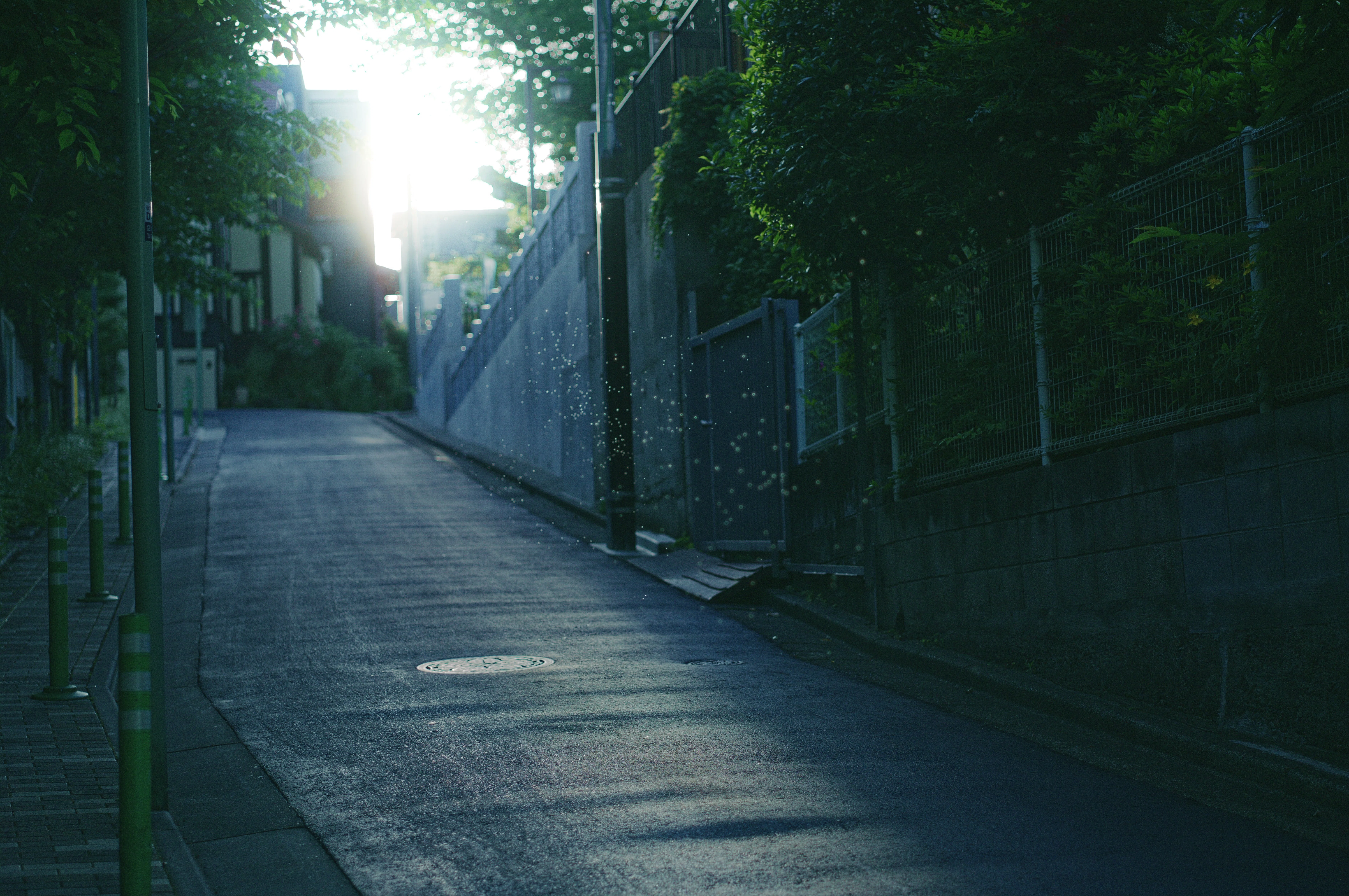5月の写真集｜住むアトリエ