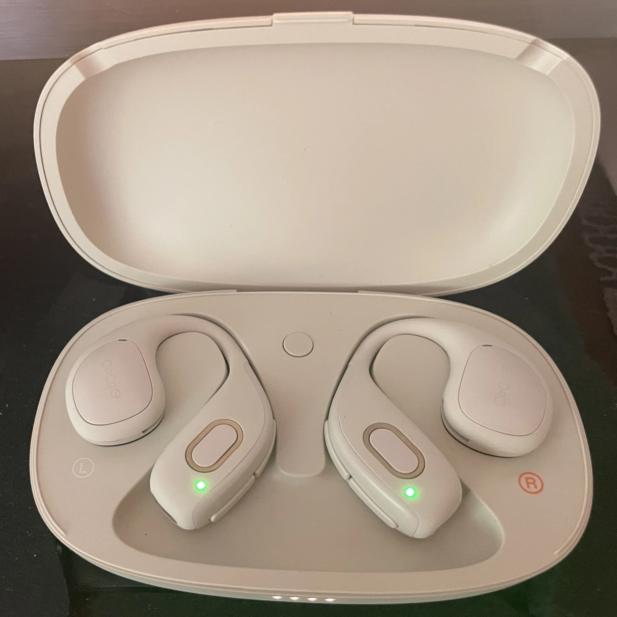 ?【耳寄り記事】cocoe Ear レビュー（1週間程度経過時点 