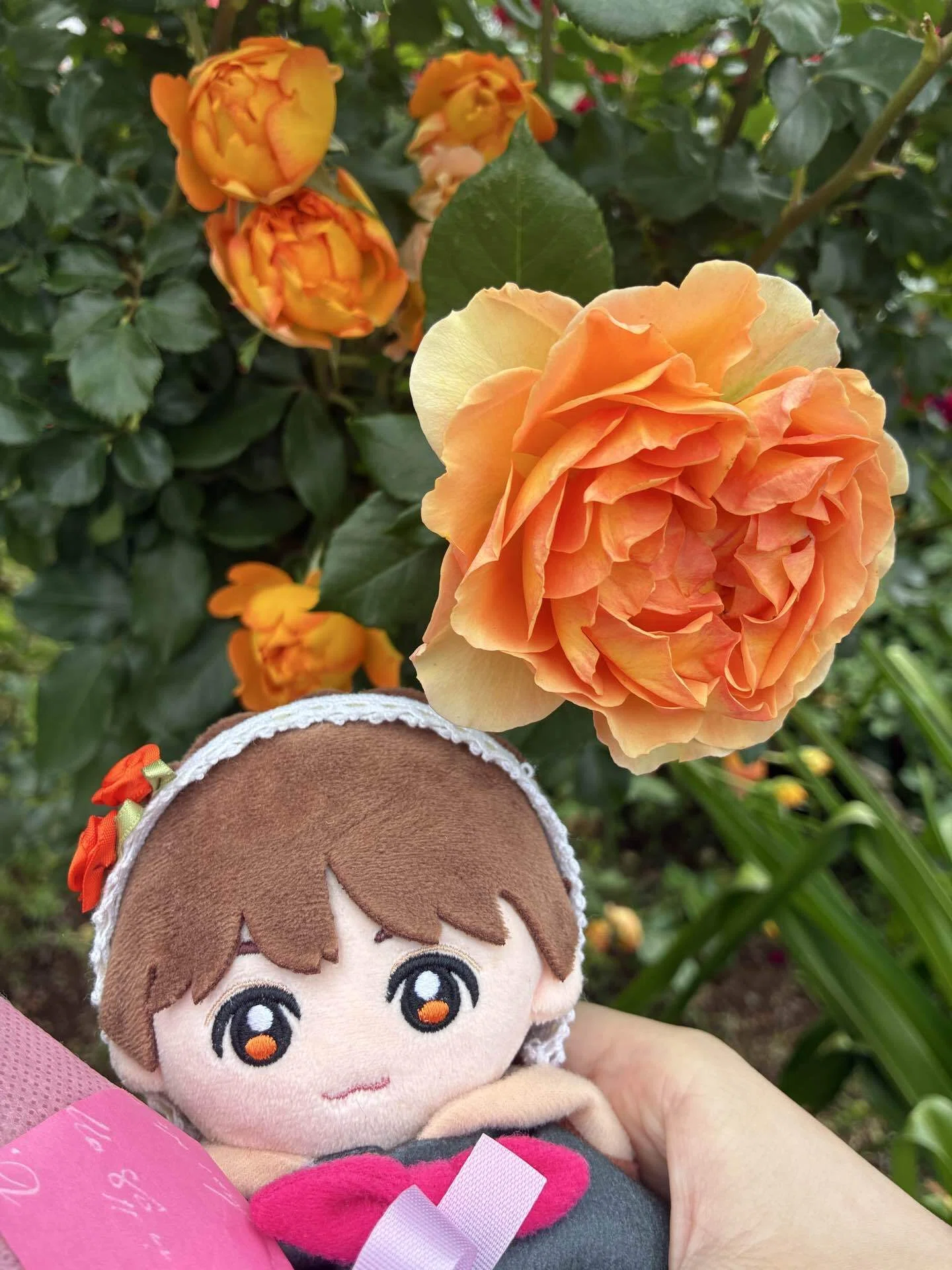 うちのぬいの日常【薔薇とぬい活】｜あやか