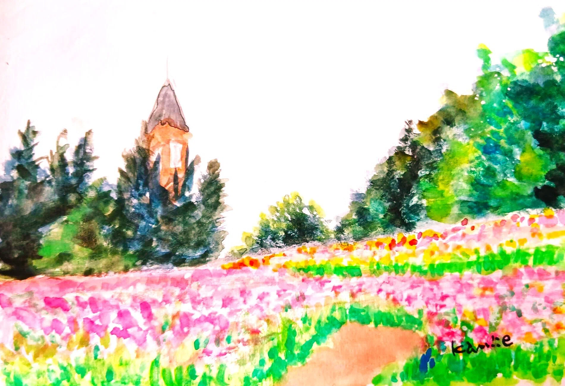 チューリップ(滝野スズラン公園)｜北海道の熊おやじ〜北海道の179