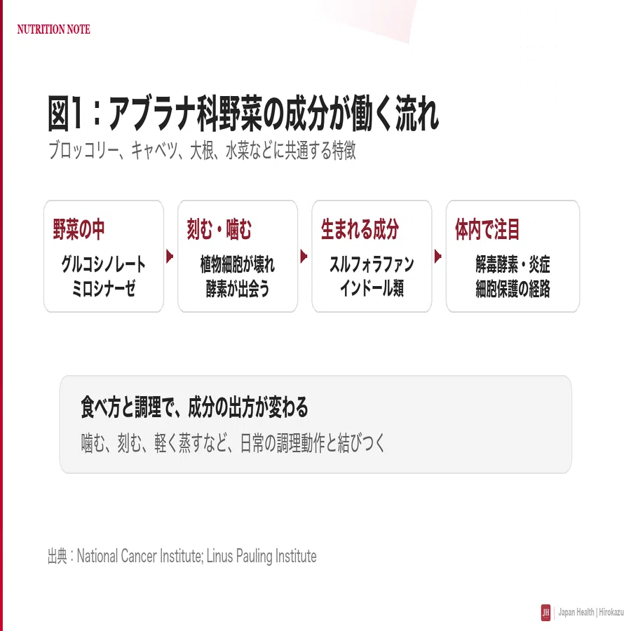記事中の図