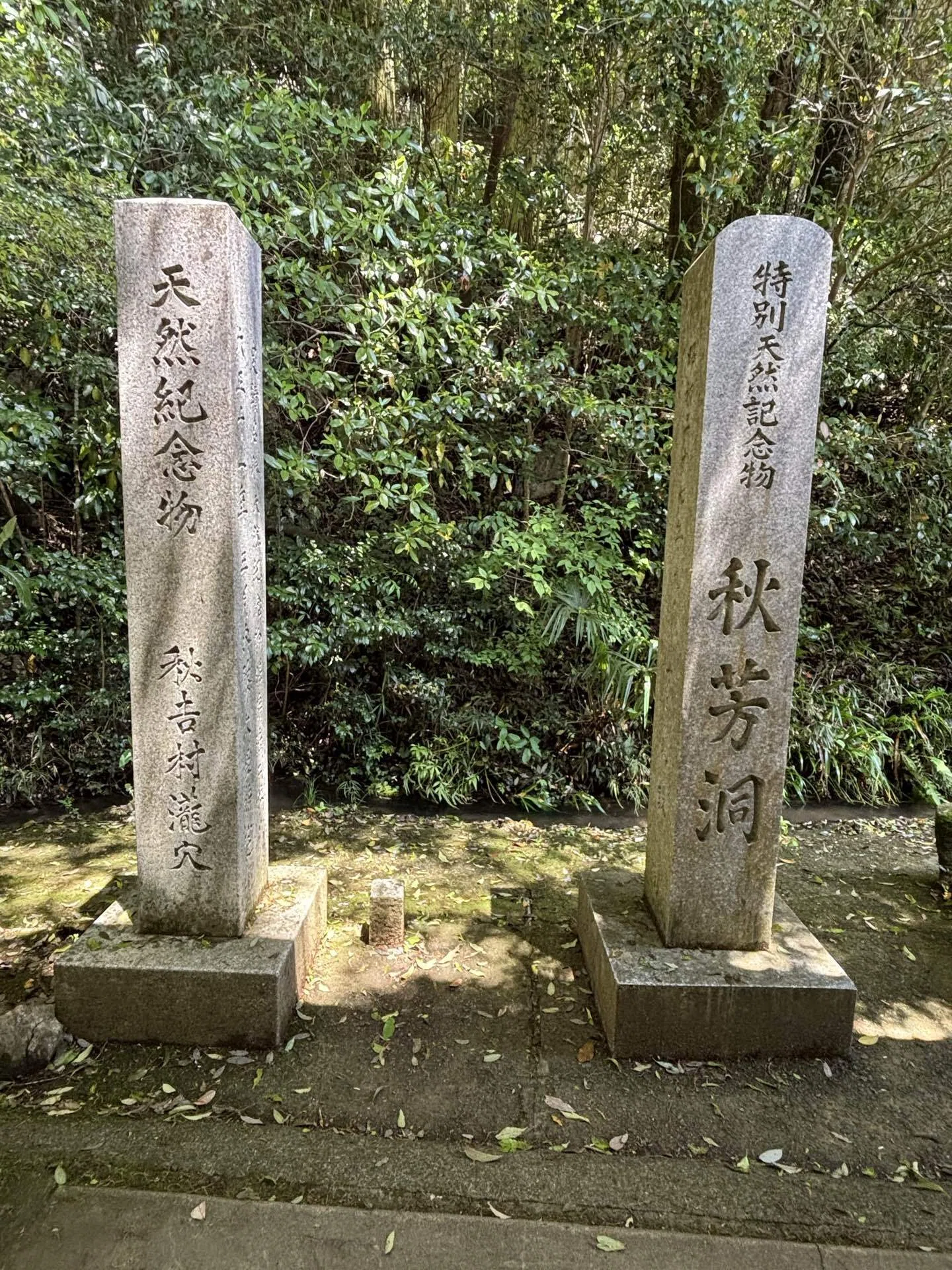山口観光】幻想的すぎる秋芳洞へ｜日本最大級の鍾乳洞を実際に歩いて