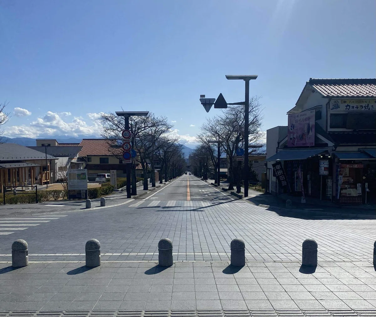 武田神社から見た武田通り