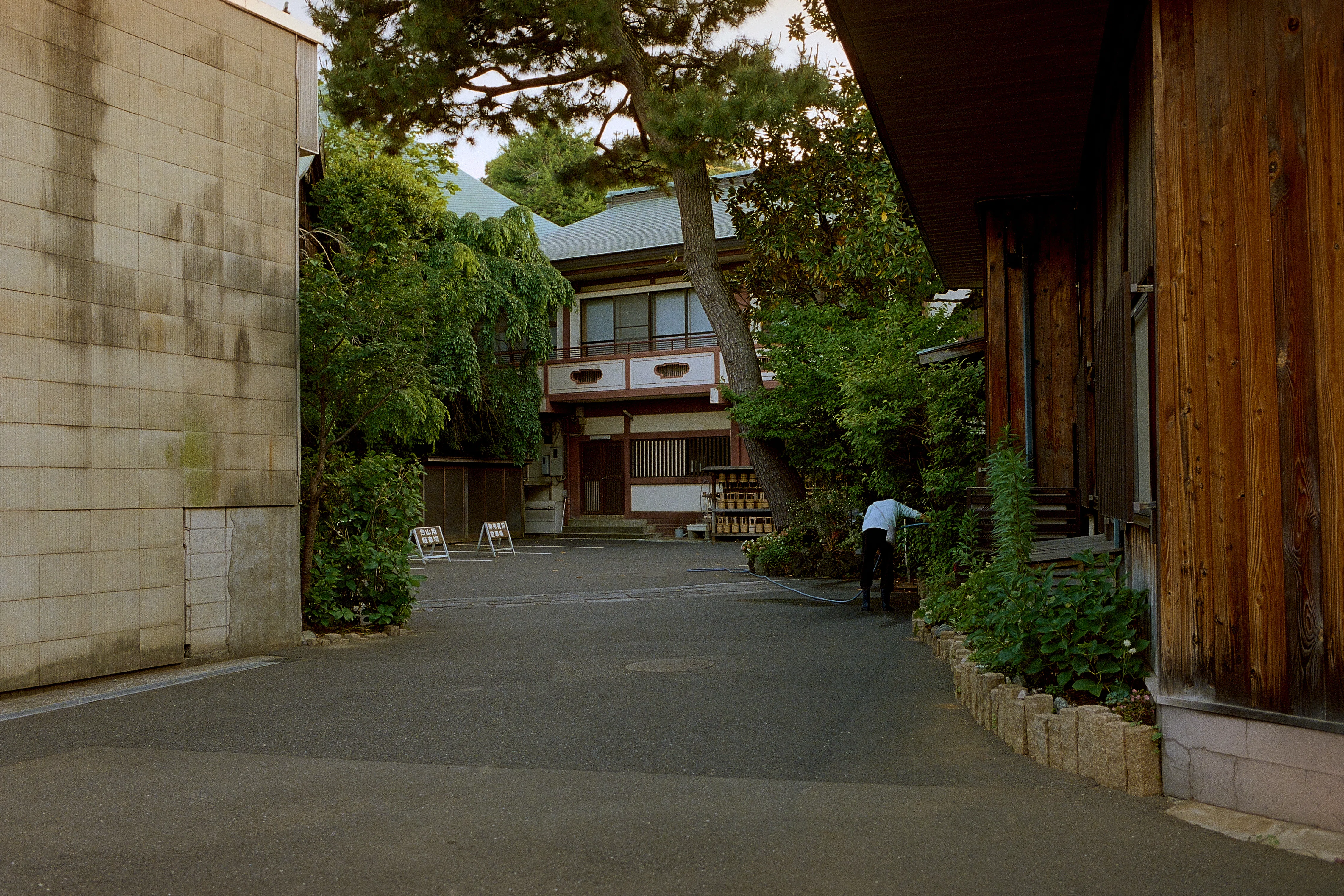 Canon EOS-1N HS ファーストロール｜Syuheiinoue | Studio neutral