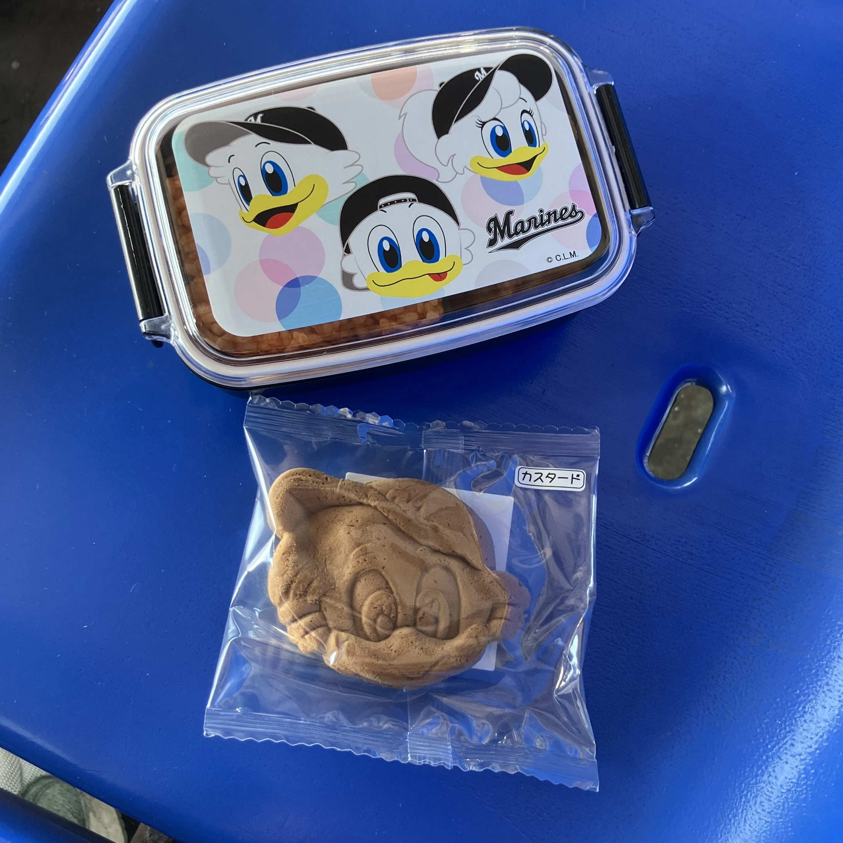 千葉ロッテマリーンズ×ポケモンベースボールフェスタ2026に行ってきた