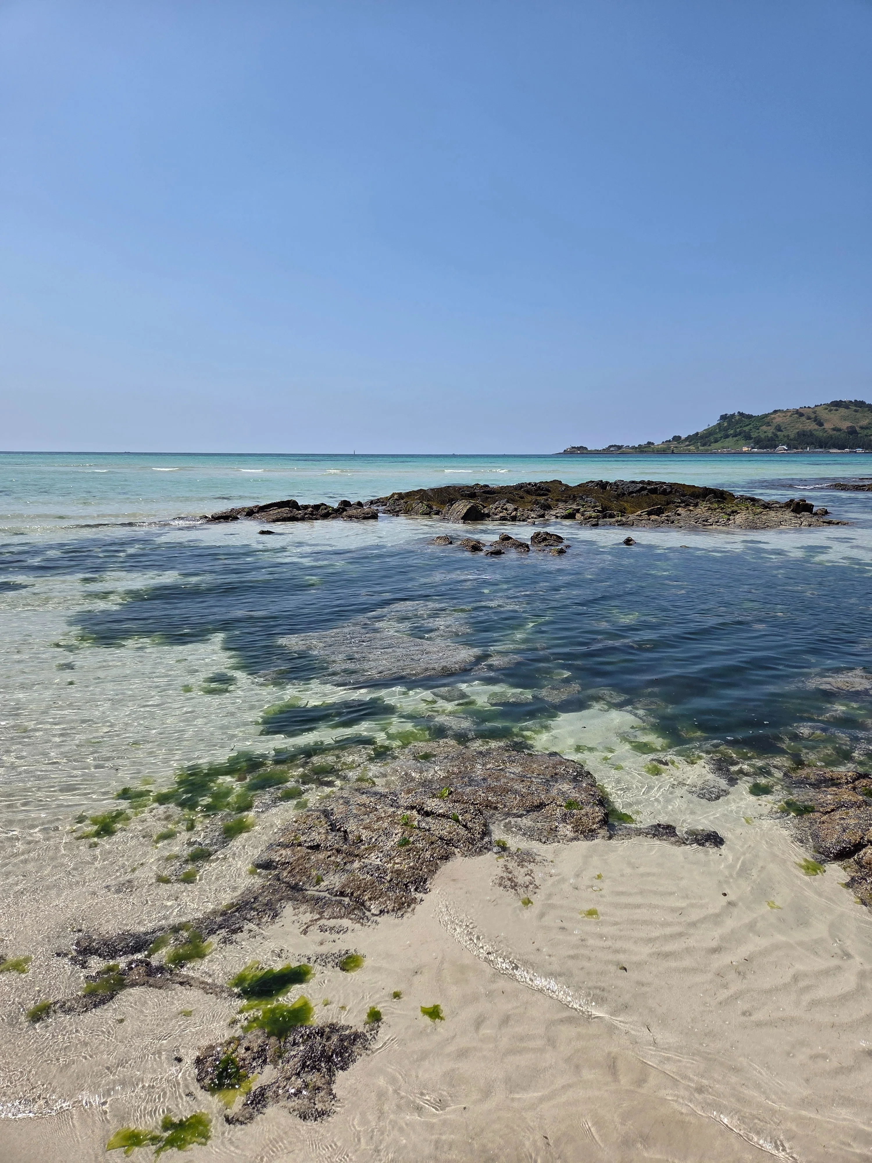 韓国旅行 チェジュ島①（ヒョプジェビーチ、Osulloc、Innisfree